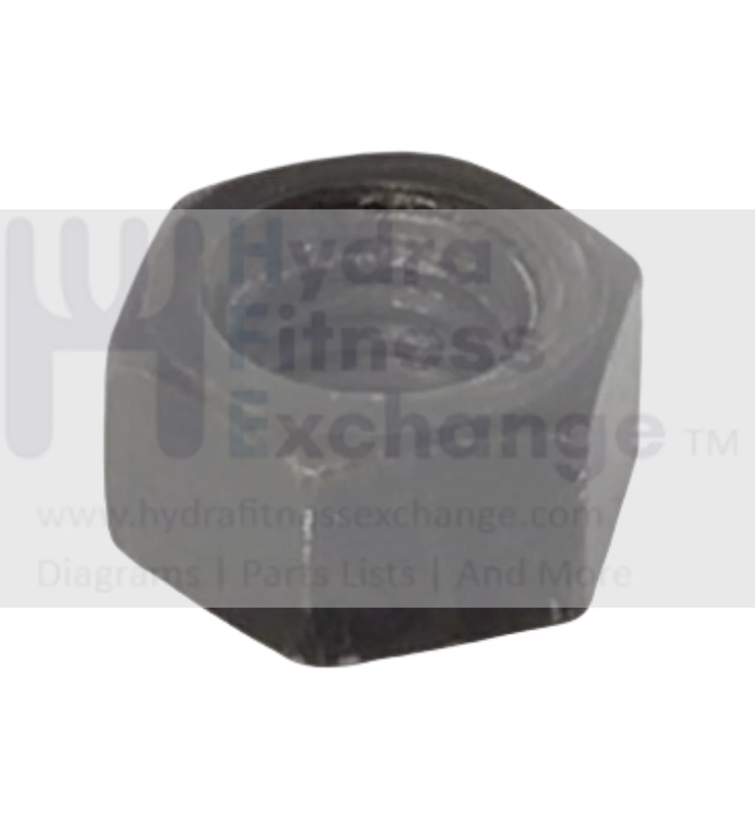 Livestrong Elliptical Hex Nut M12-1.75  004901-00