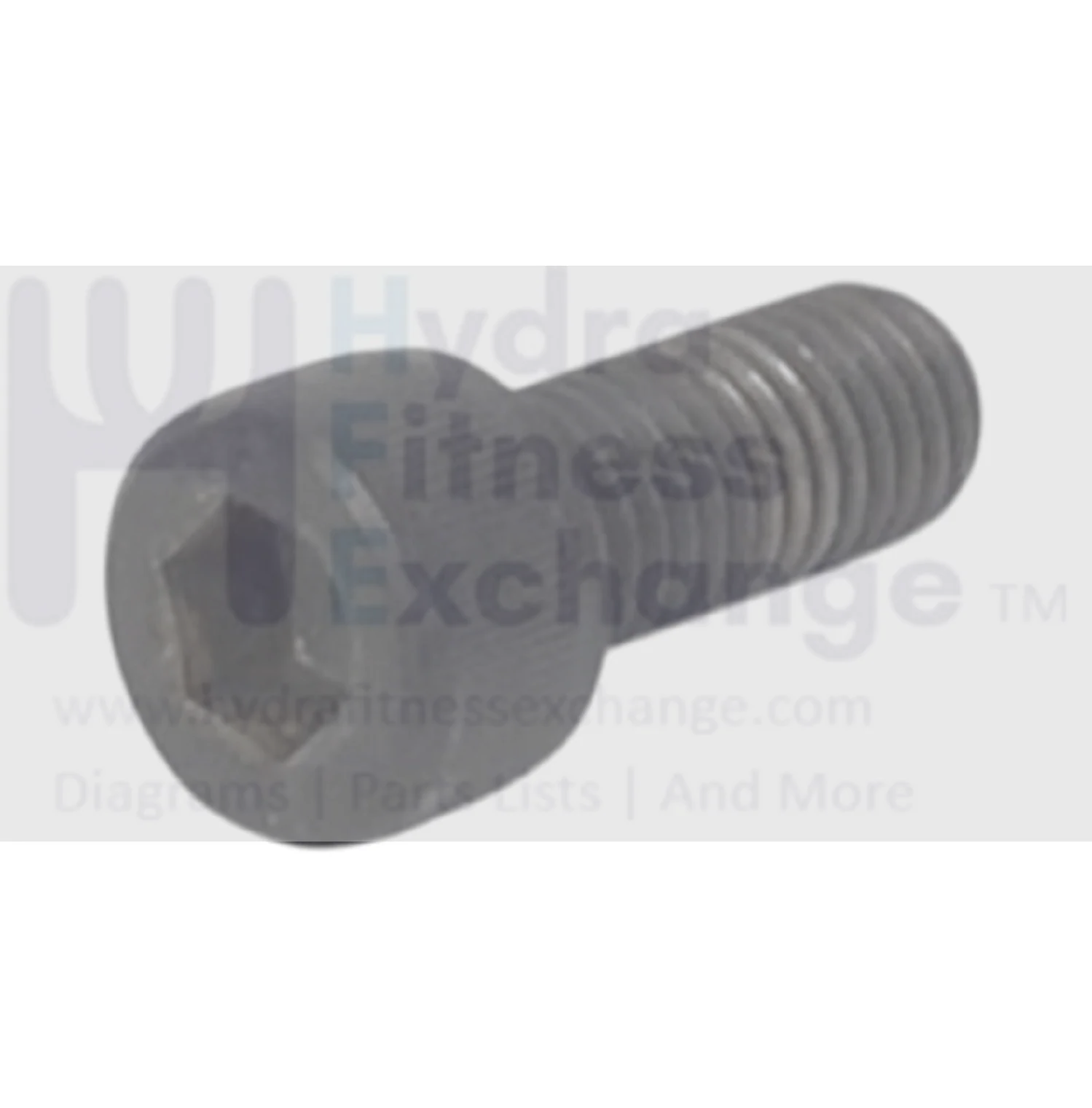 Livestrong Elliptical Hex Socket Screw M10 x 45mm 1000226201