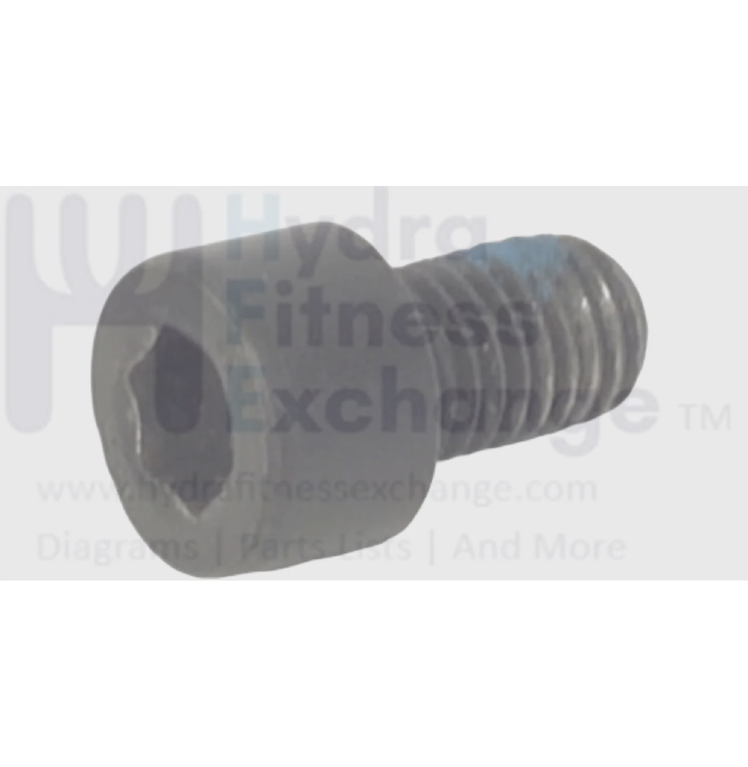 Livestrong Elliptical Round Hex Socket Screw M10-1.5 020105-AC