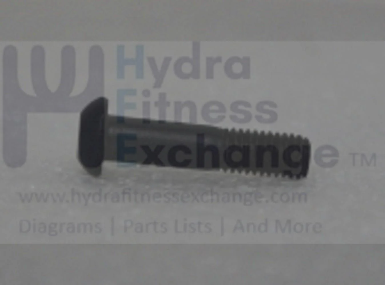 Livestrong Horizon Fitness CT7.2 T202-03 LS8.0T-C2 Treadmill Screw M8 x 1.25P - 35L/10L 004769-00 - Image 2