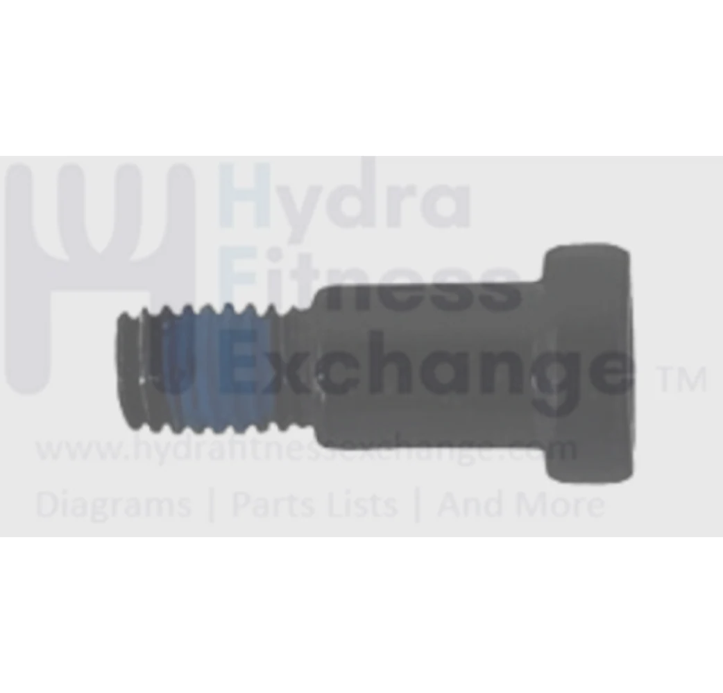 Horizon Fitness Treadmill Special Screw M8 - 1.25P x 11L/D10 x 13.2L 1000351528