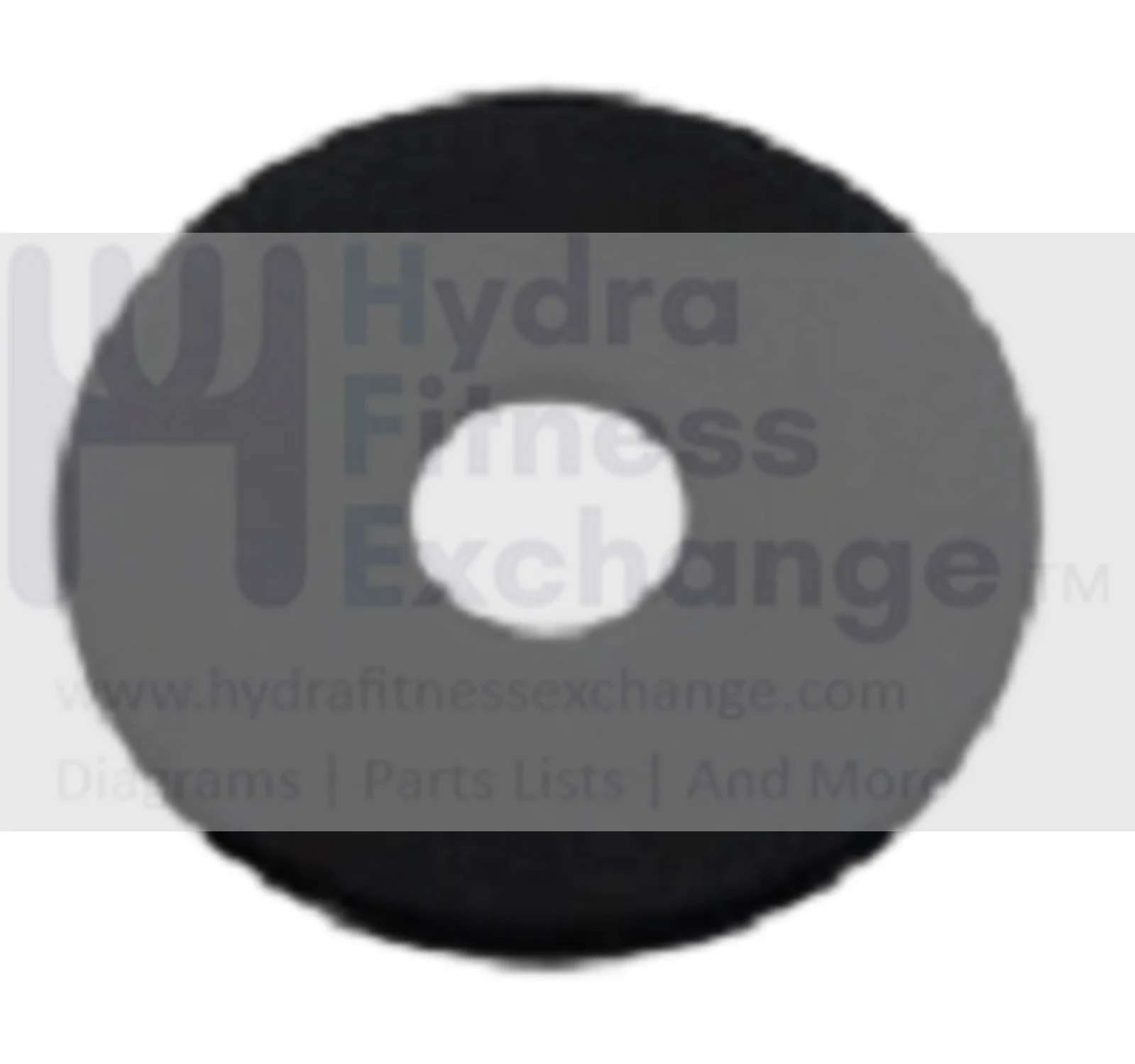 Matrix Commercial AFG Vision Horizon Fitness Elliptical Flat Washer 005037-00