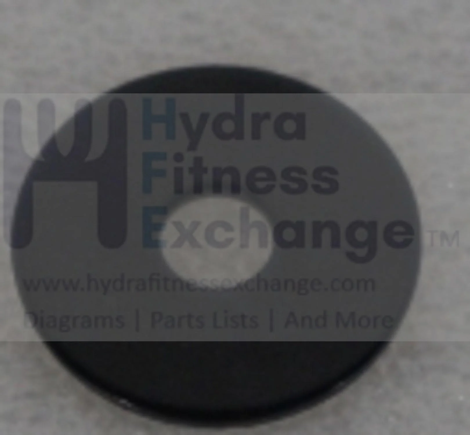 Matrix Commercial AFG Vision Horizon Fitness Elliptical Flat Washer 005037-00 - Image 2