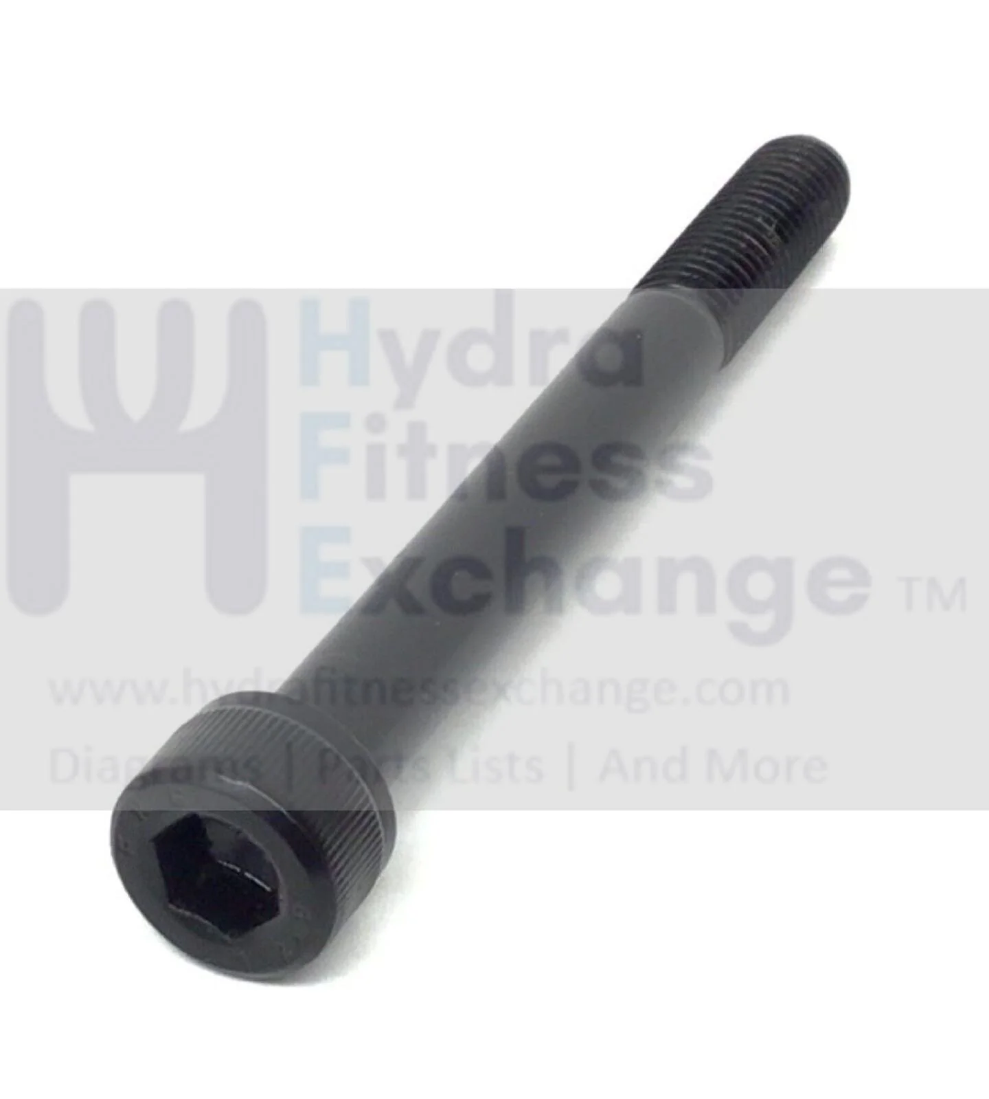 Used Matrix Commercial Elliptical Hex Socket Round Screw M10x1.5Px100L 0000089822