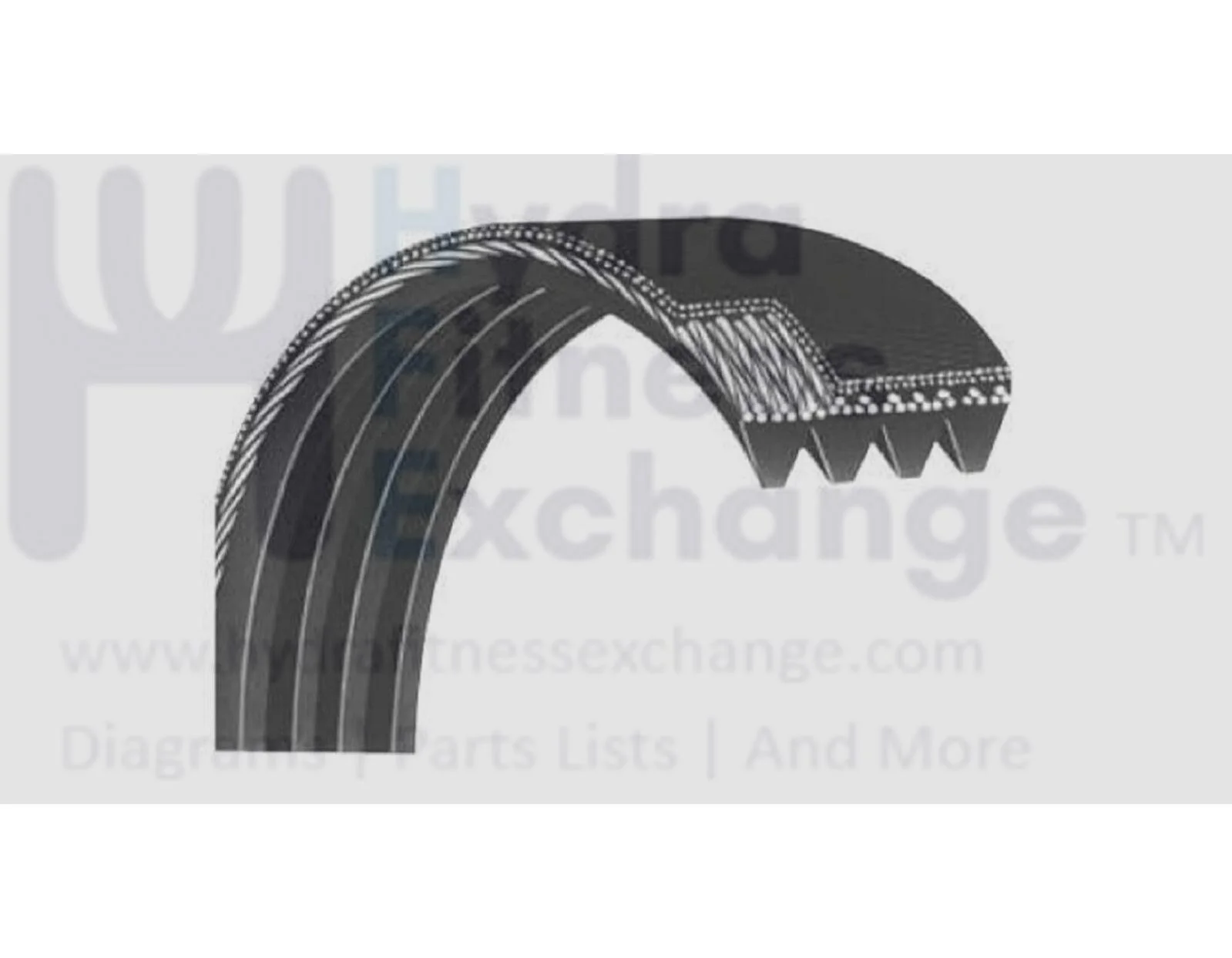 Matrix Commercial Elliptical Pulley Drive Belt 14 Ribs 0000087101