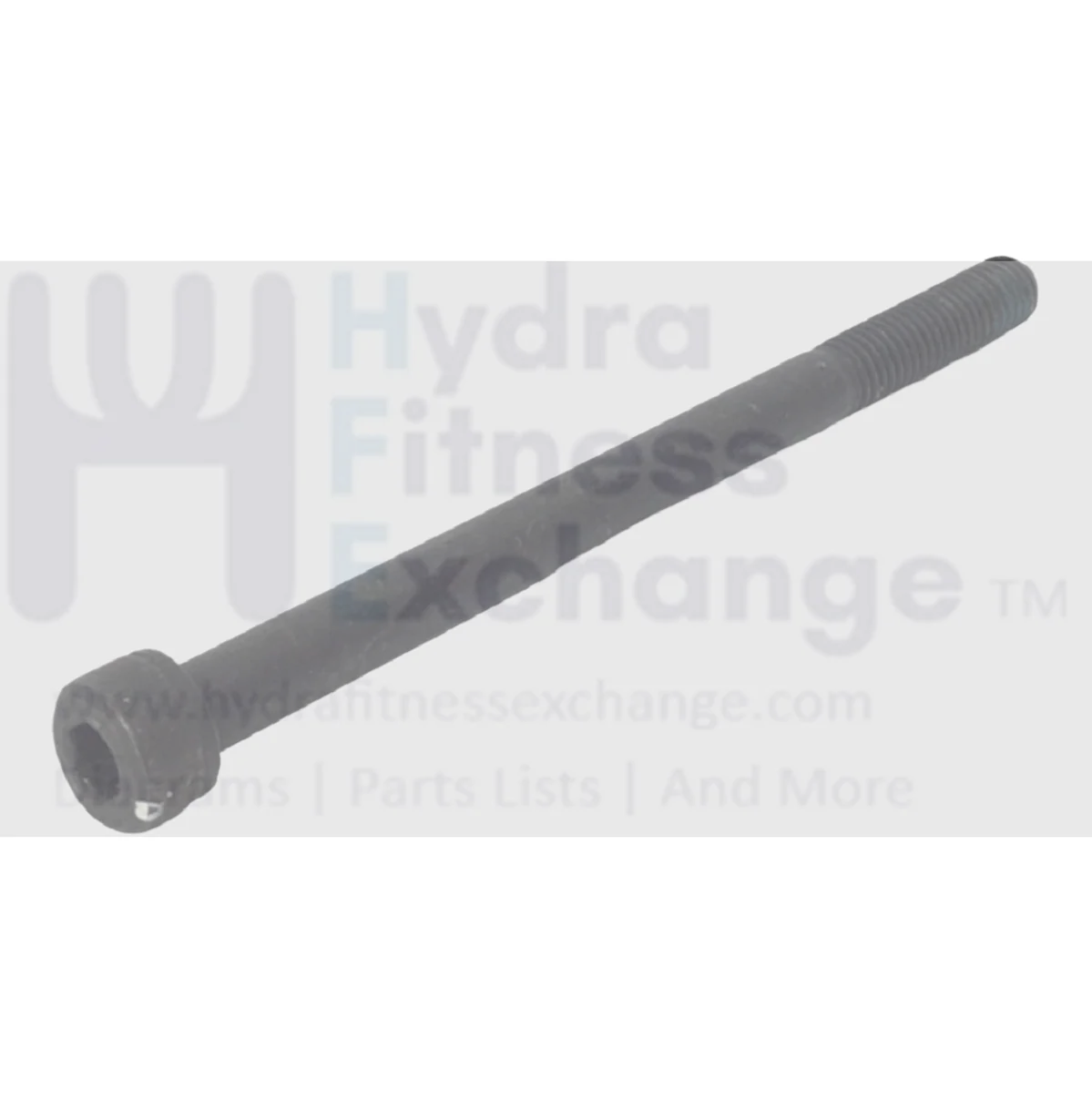 Matrix Commercial Elliptical Round Hex Socket Screw M8 - 1.25P x 110L 0000081721