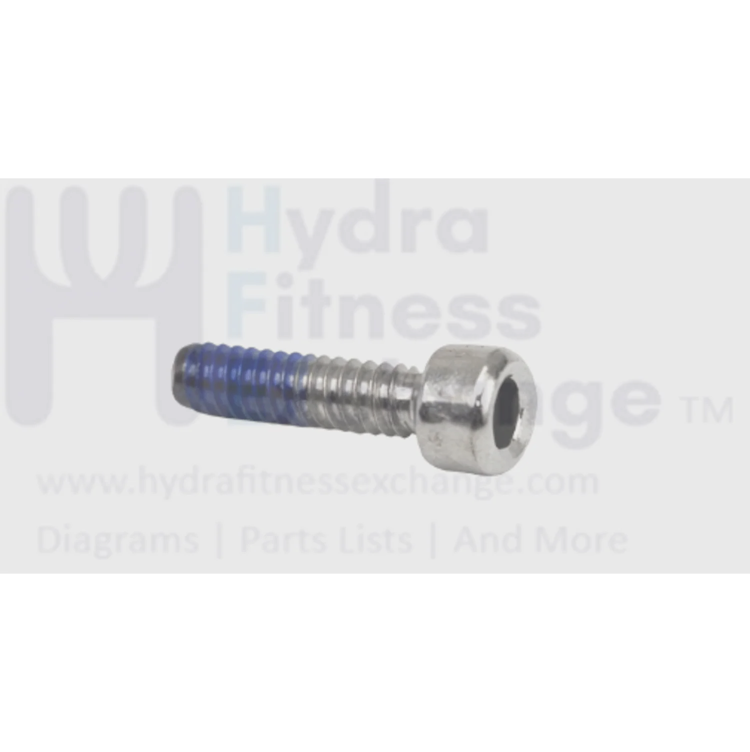 Matrix Fitness Strength System Screw M6-1.0P x 20L 1000109777