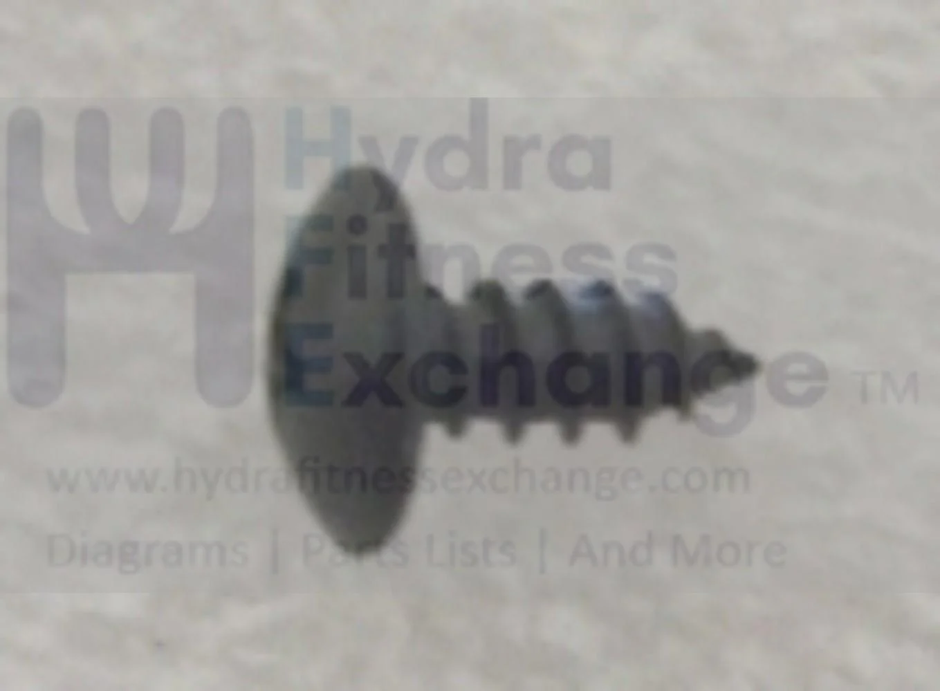 Matrix Commercial Horizon Fitness Treadmill Button Head Screw X4 x 10L 1000098175 - Image 2