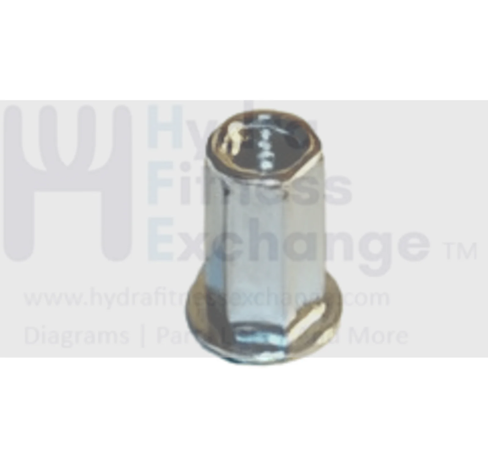 Matrix Retail Elliptical Insert Hex Nut M5 x 0.8P 004980-A