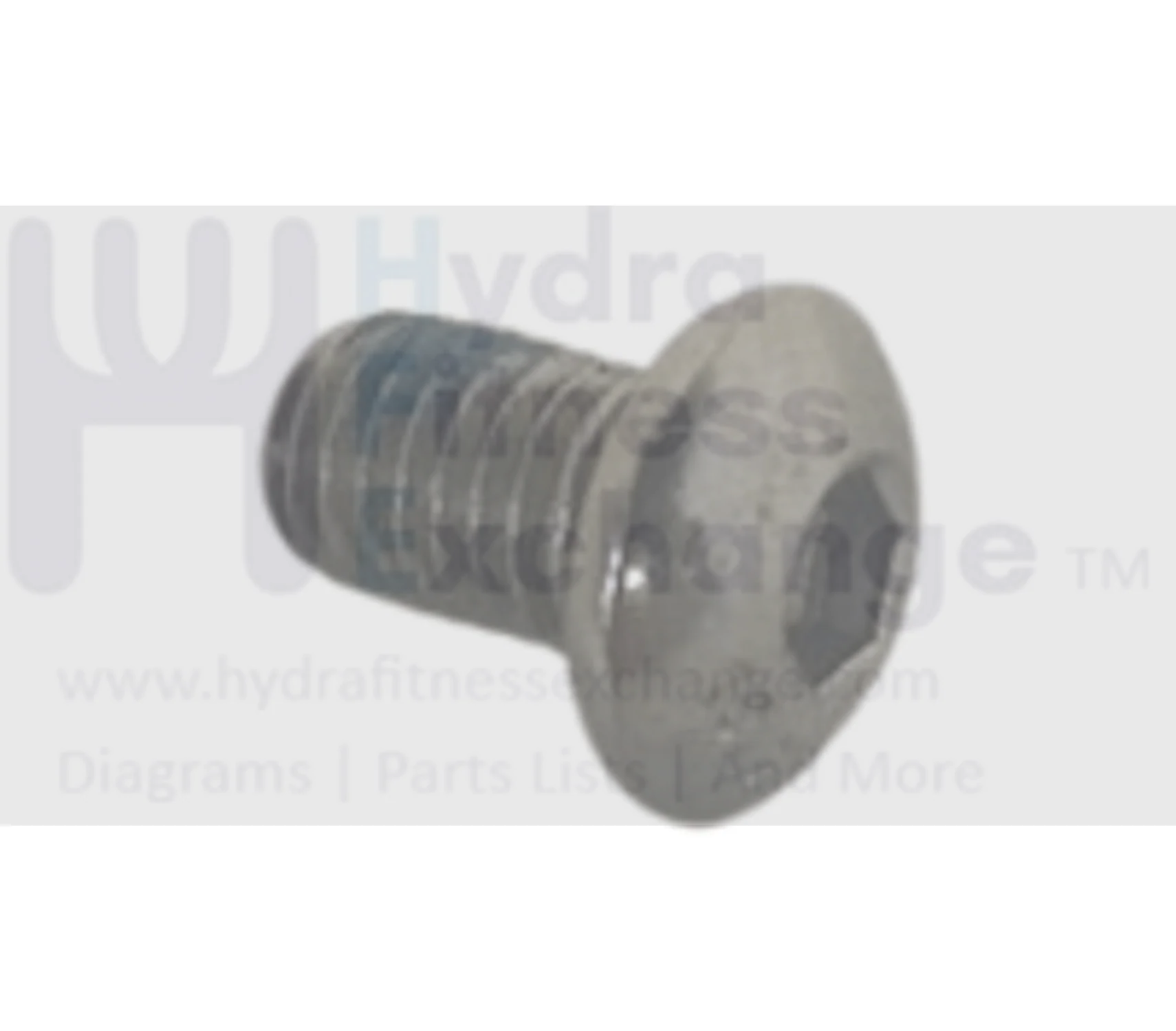Matrix Fitness Strength System Button Head Hex Socket Screw M10 - 1.5P x 15L 004793-00