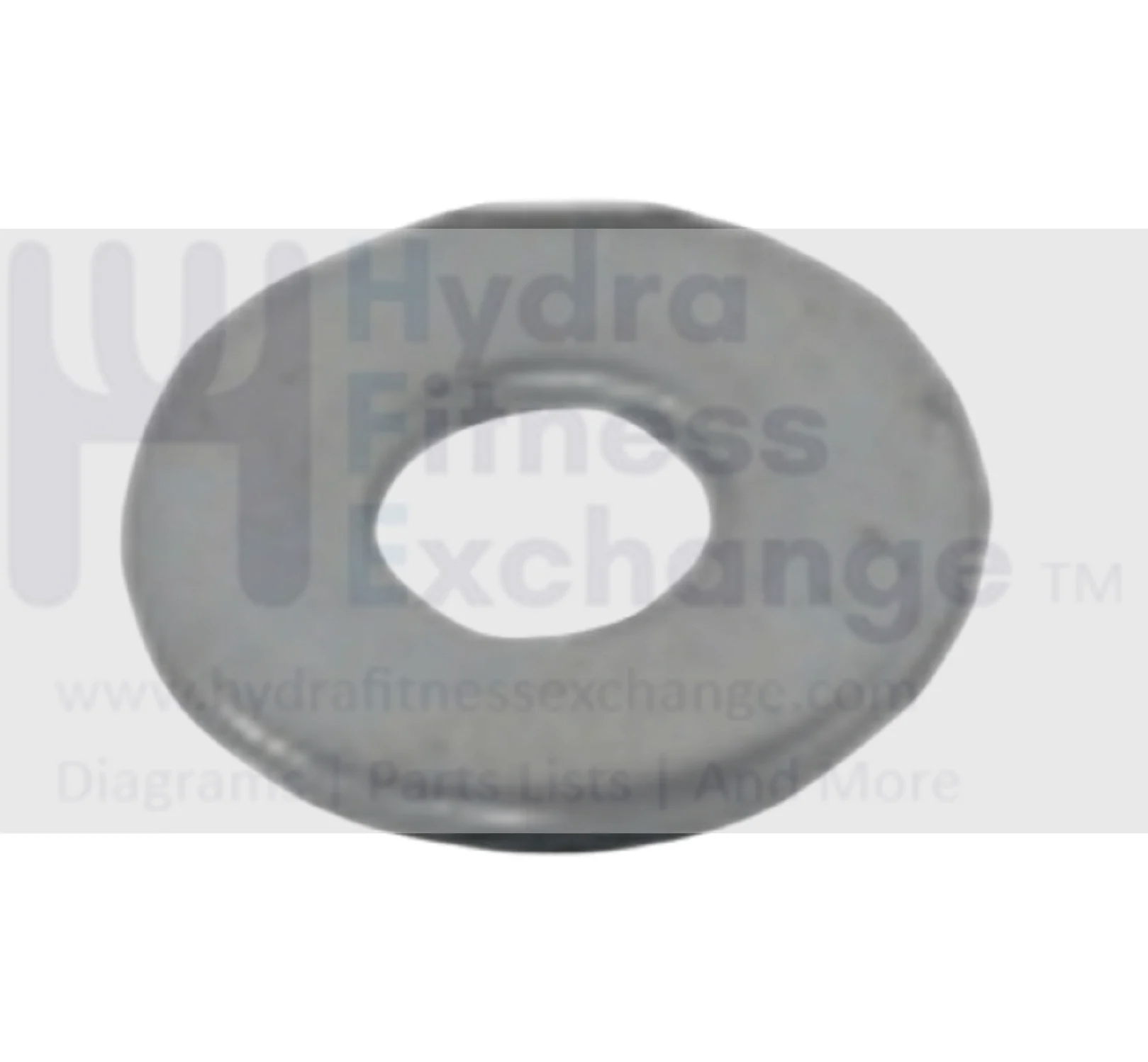 Matrix Commercial Strength System Flat Washer 0.734 x .06 1000308446
