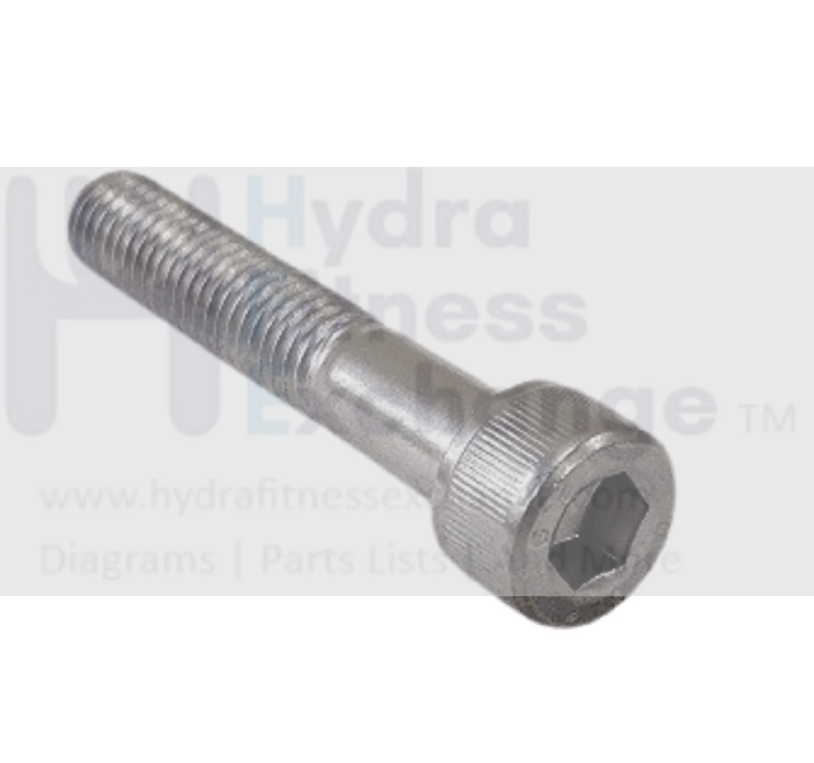 Matrix Fitness Strength System Round Head Hex Socket Screw M10 - 1.5P x55L 004549-00