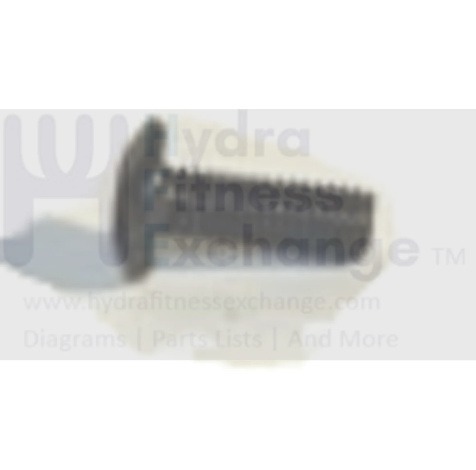 Matrix Commercial Vision Horizon Fitness Elliptical Hex Socket Screw 004828-AA