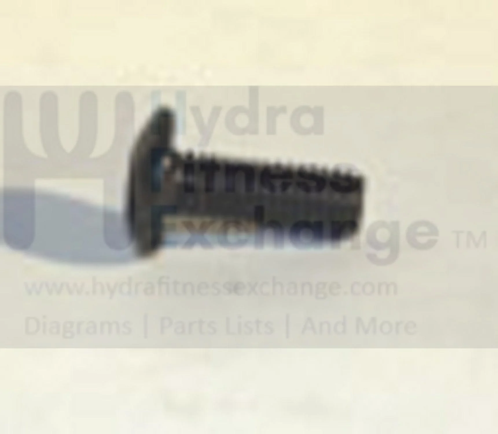 Matrix Commercial Vision Horizon Fitness Elliptical Hex Socket Screw 004828-AA - Image 2