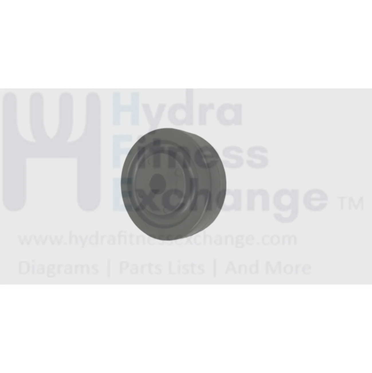 Matrix Commercial W1x-G4 | Rower | AR09 | 2009 Rower Nylon Wheel 000023-00