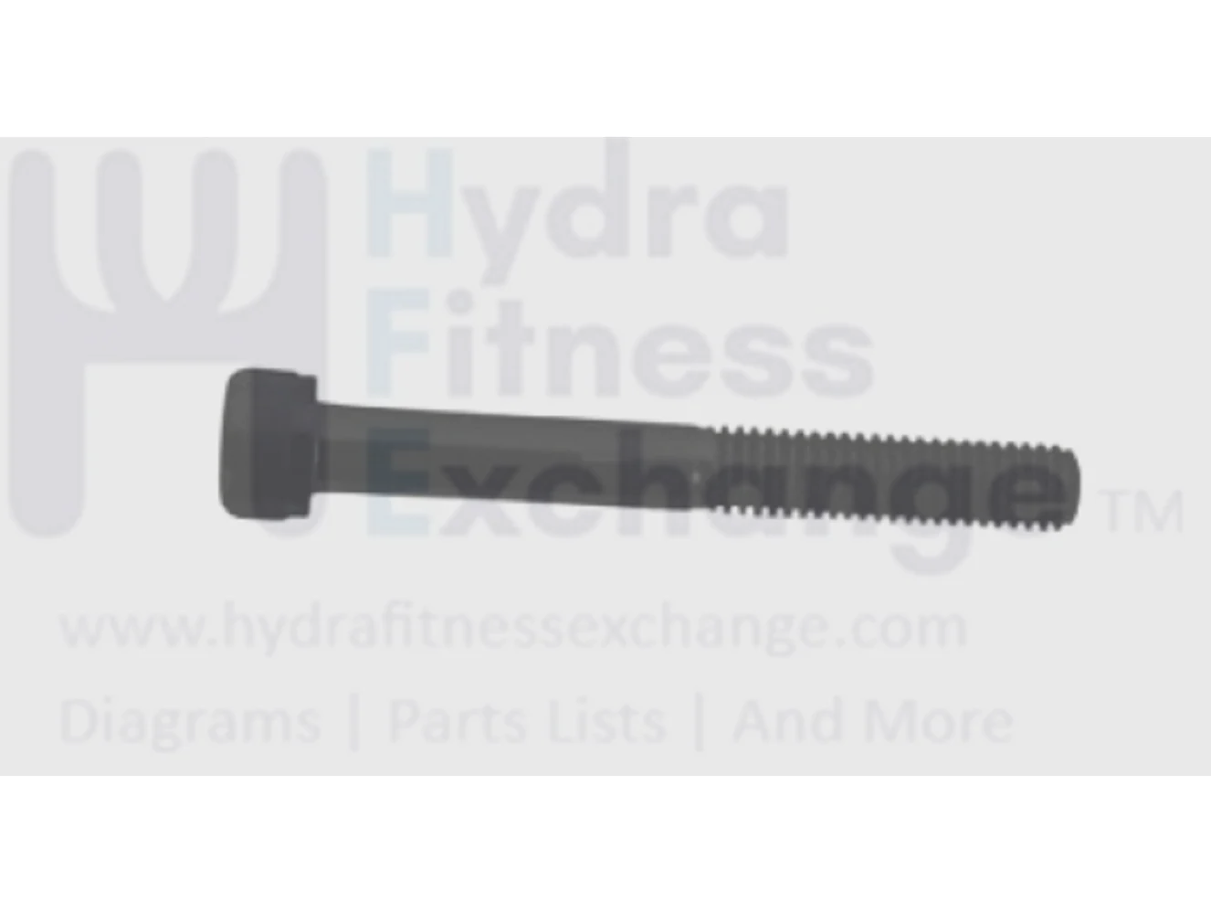 Matrix Fitness CB204 CB205 CB207 CB174 CB172 Upright Bike Round Head Hex Socket Screw M6 - 1.0P x 50L/20L 004467-00