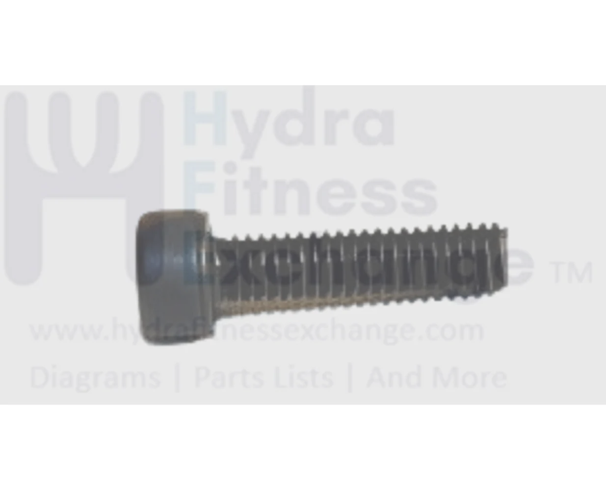 Matrix Fitness CB93 EP620 EP620C EP620H Stationary Bike Round Head Hex Socket Screw M4 - 0.7P x 16L 004446-00