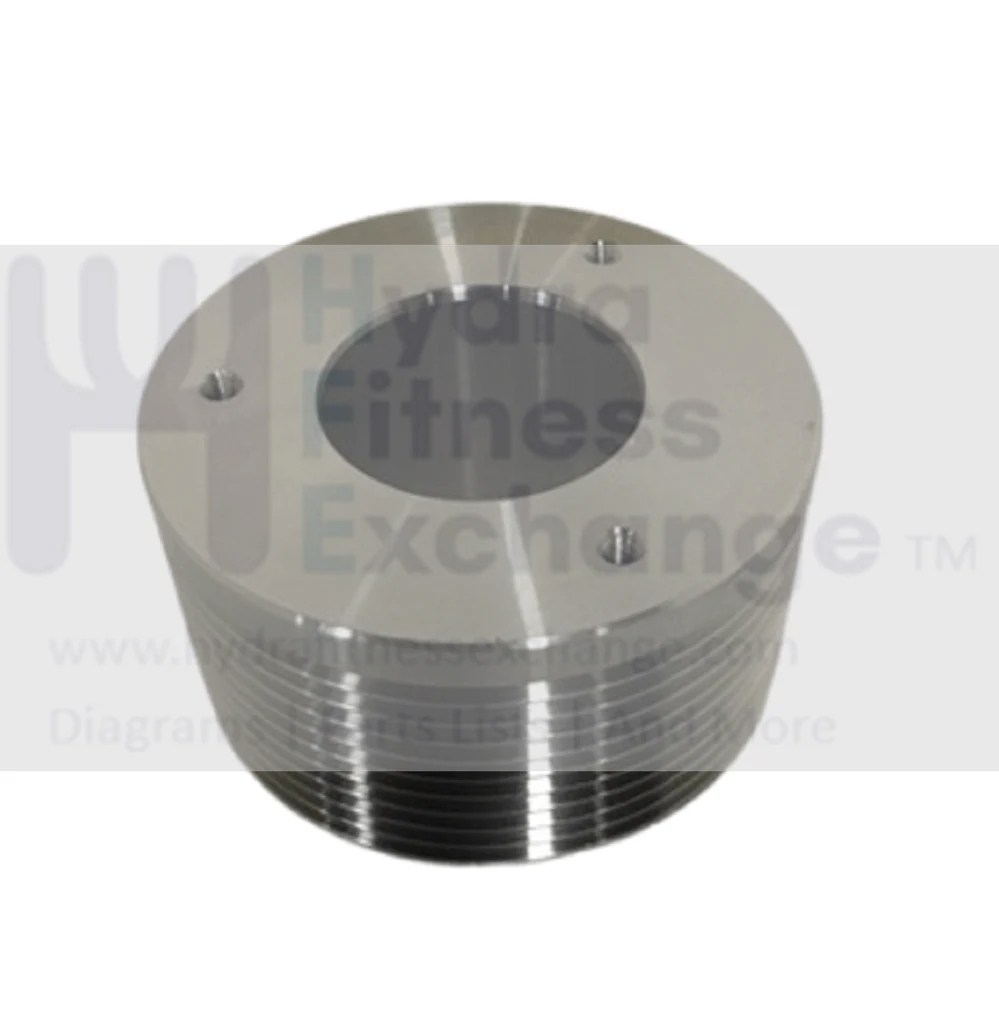 Matrix Fitness CS29 CS30 CS30N CS35 CS34 CS35G CS40G Stepper Step Poly-V Pulley 1000400172
