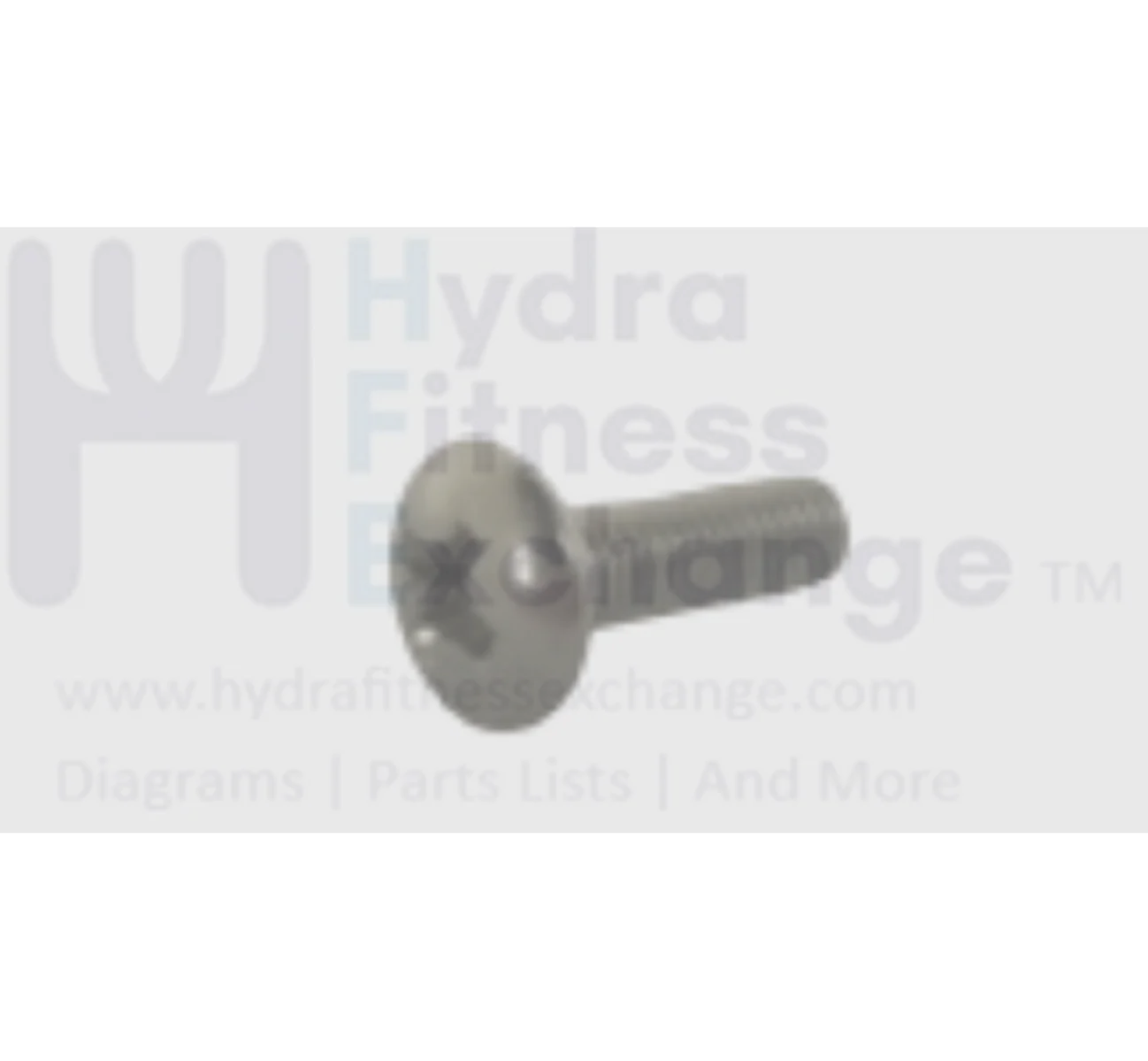 Matrix Fitness CS29 CS30 CS30N EP630D EP629 EP630 Stepper Step Button Head Phillip Screw M3 - 0.5P x 10L 1000404515