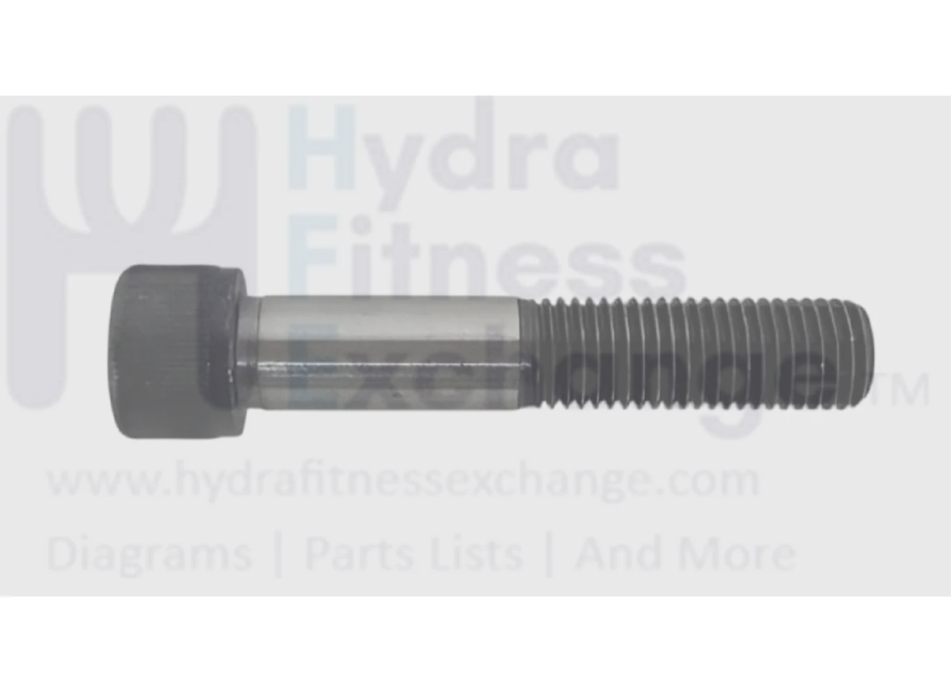 Matrix Fitness CTM526 CTM708 CTM725 TM742B TM747 TM743B TM776 TM750C TM789B Treadmill Grinding Screw Extrawork 1000343262