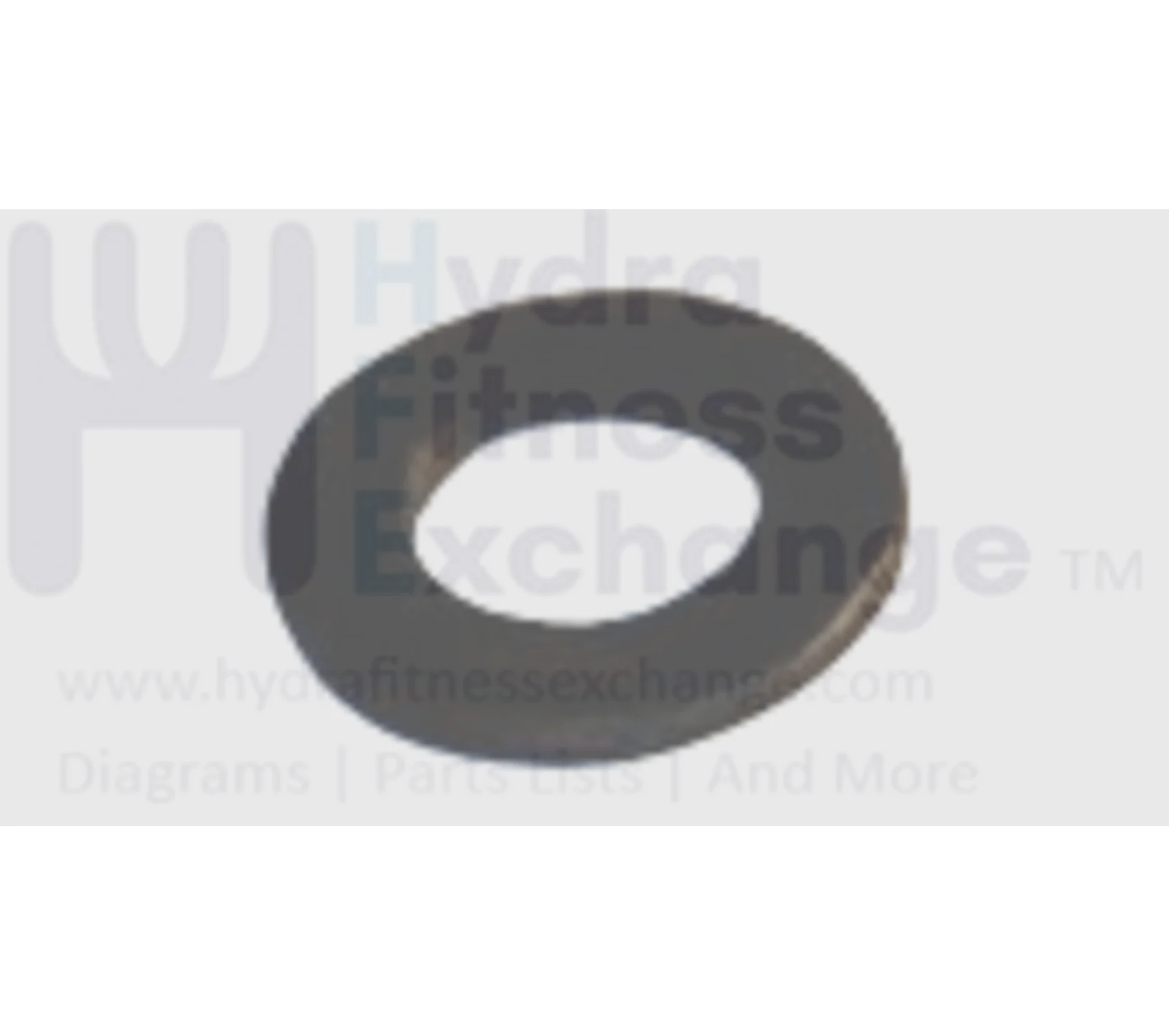 Matrix Fitness Elliptical Flat Washer 5.3 - 10 x 1.0T 005078-00