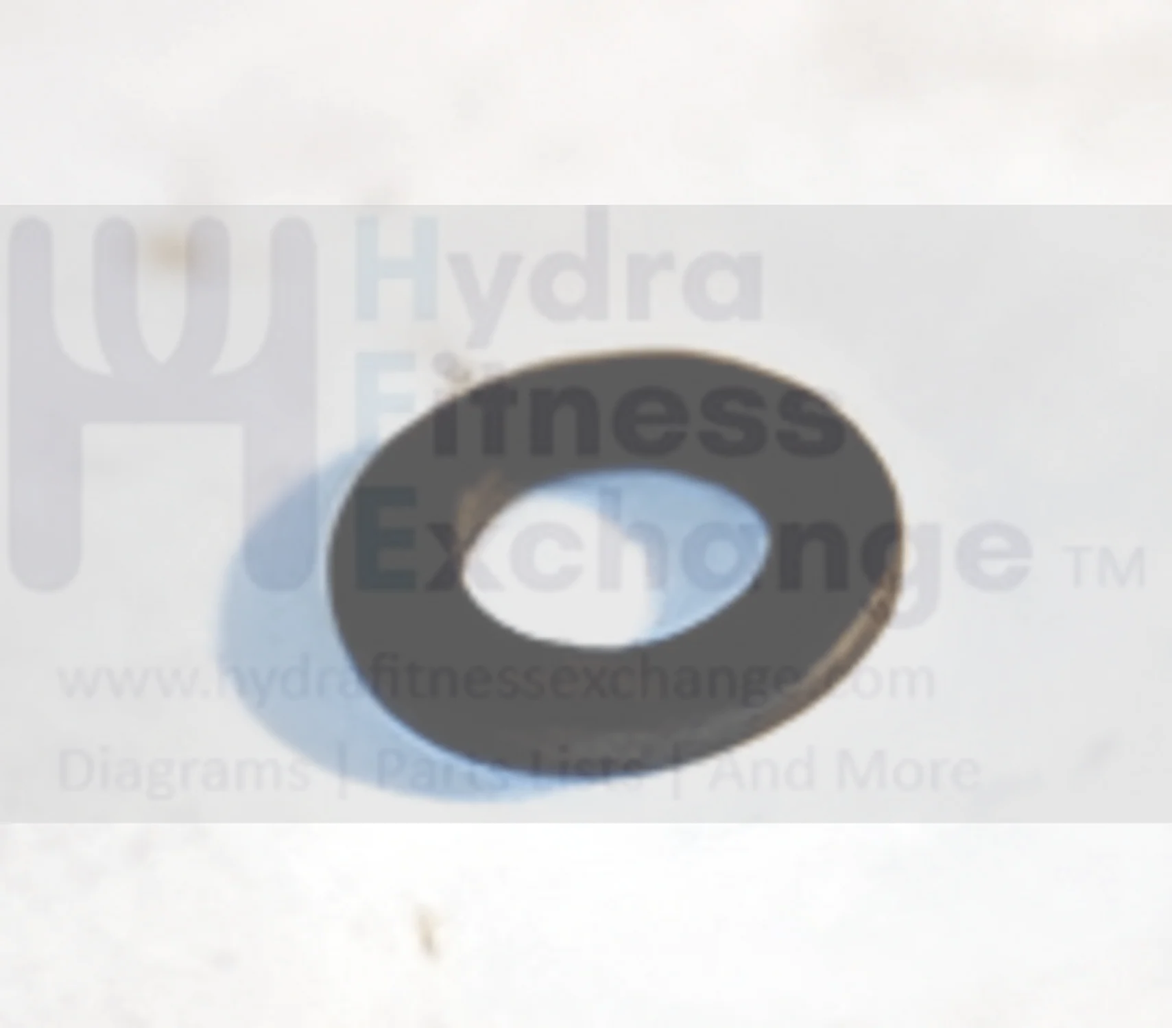 Matrix Fitness Elliptical Flat Washer 5.3 - 10 x 1.0T 005078-00 - Image 2