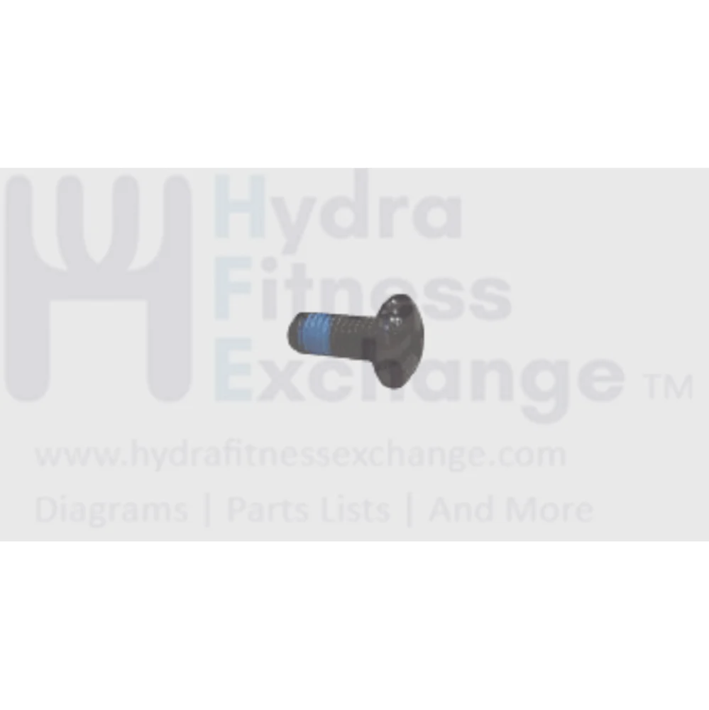 Matrix Fitness Elliptical Button Head Screw M5 - 0.8P x 12L 028555-00