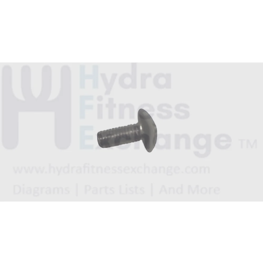 Matrix Fitness Elliptical Button Head Screw M5 - 0.8P x 12L 1000304478