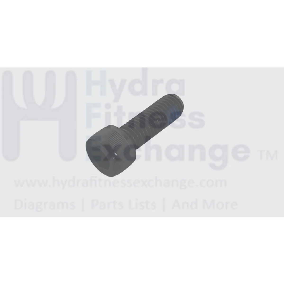 Matrix Fitness Elliptical Hex Head Socket Screw M10 - 1.5P x 30L 1000313183