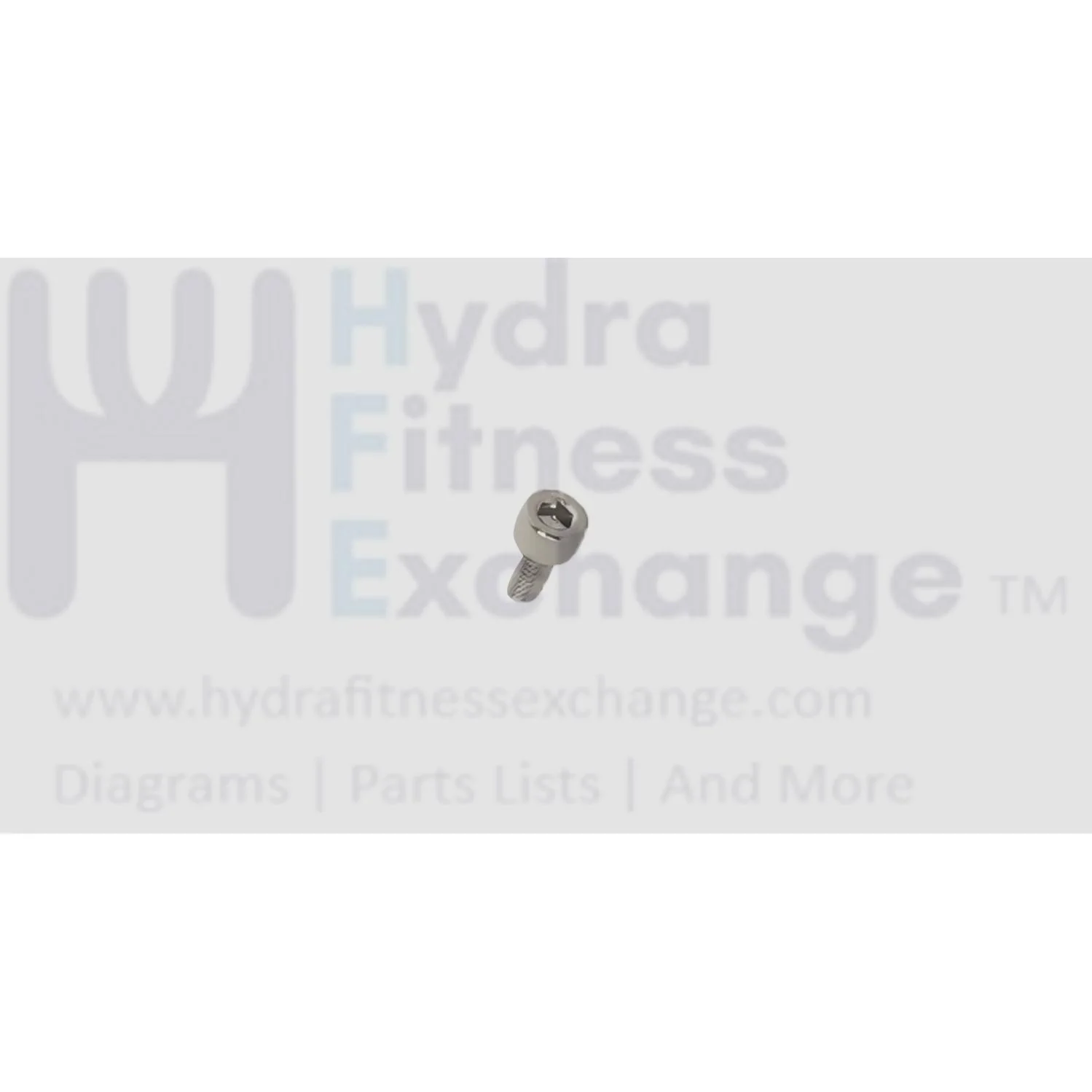 Matrix Fitness Elliptical Hex Head Socket Screw M5 - 0.8P x 10L 1000388973