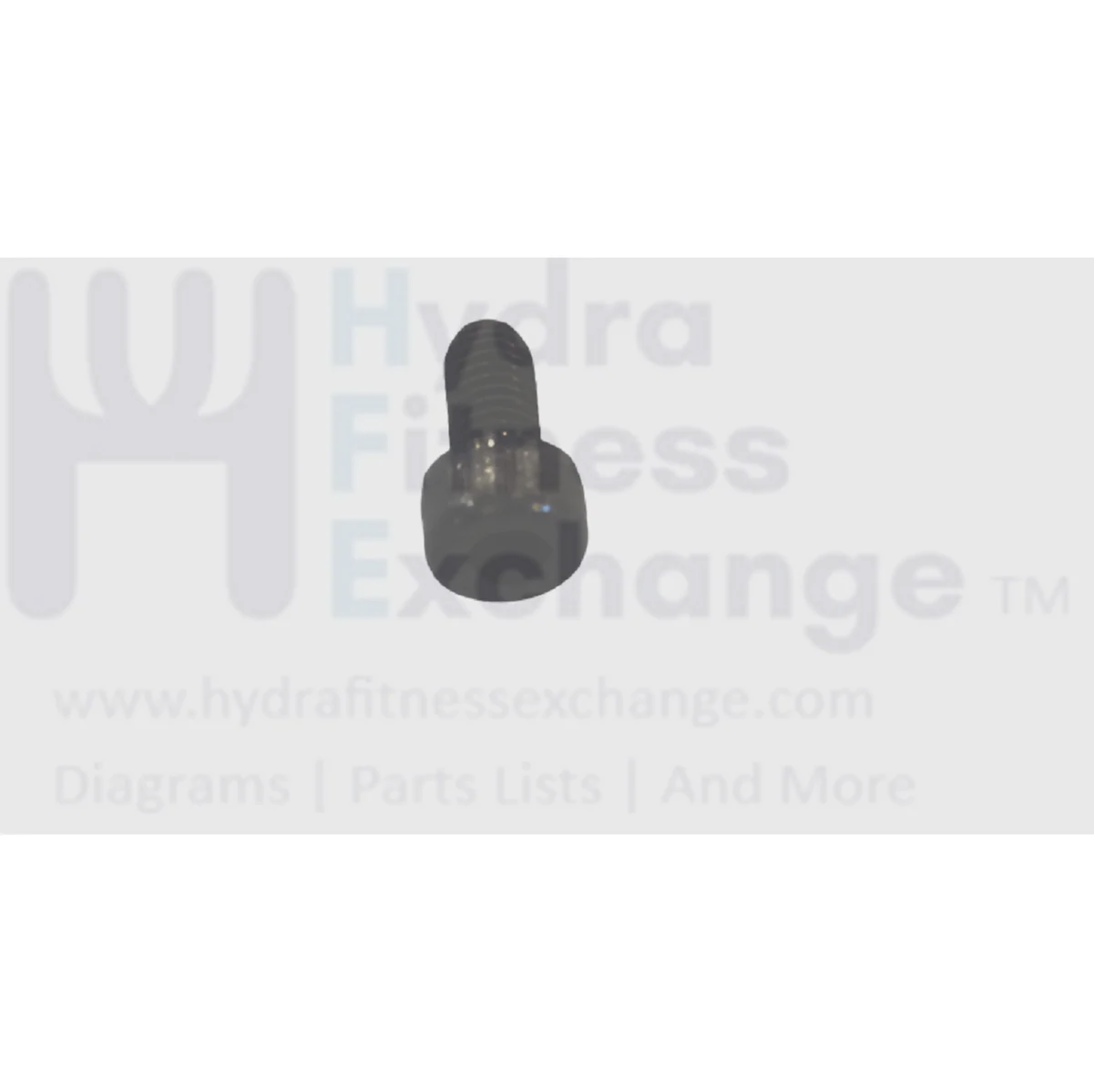 Matrix Fitness Elliptical Hex Socket Head Screw M5 - 0.8P x 10L 004448-00