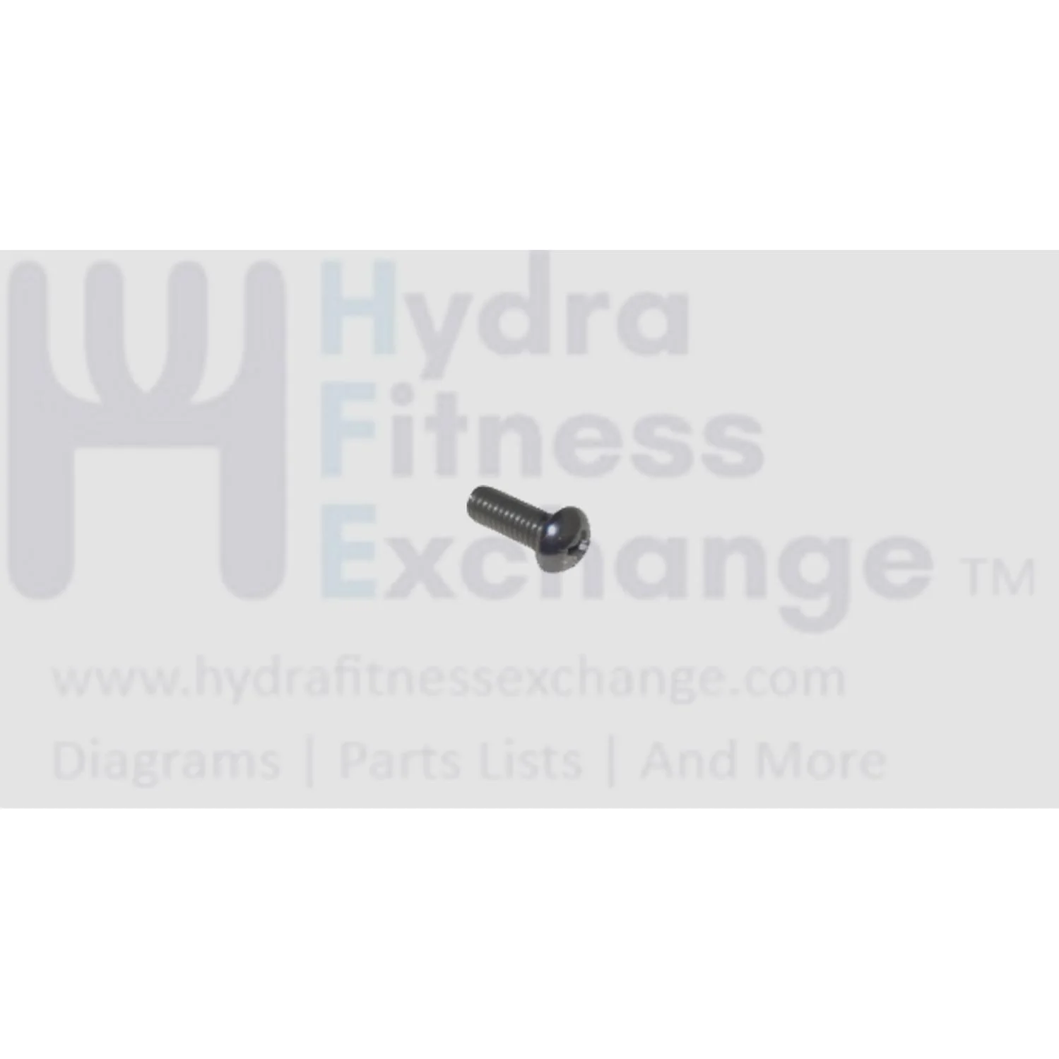 Matrix Fitness Elliptical Phillip Round Head Screw M5 - 0.8P x 12L 1000384823