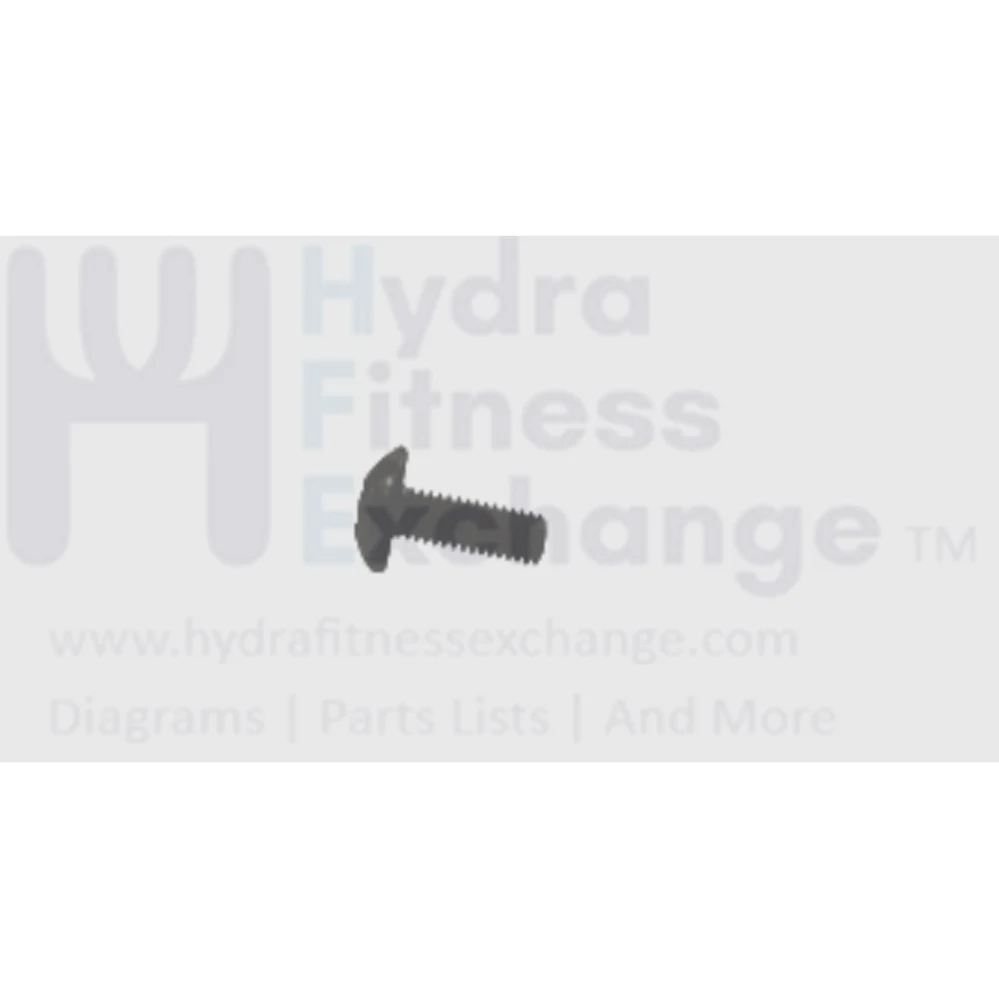 Matrix Fitness Elliptical Phillips Button Head Screw M3 - 0.5P x 10L 028629-00