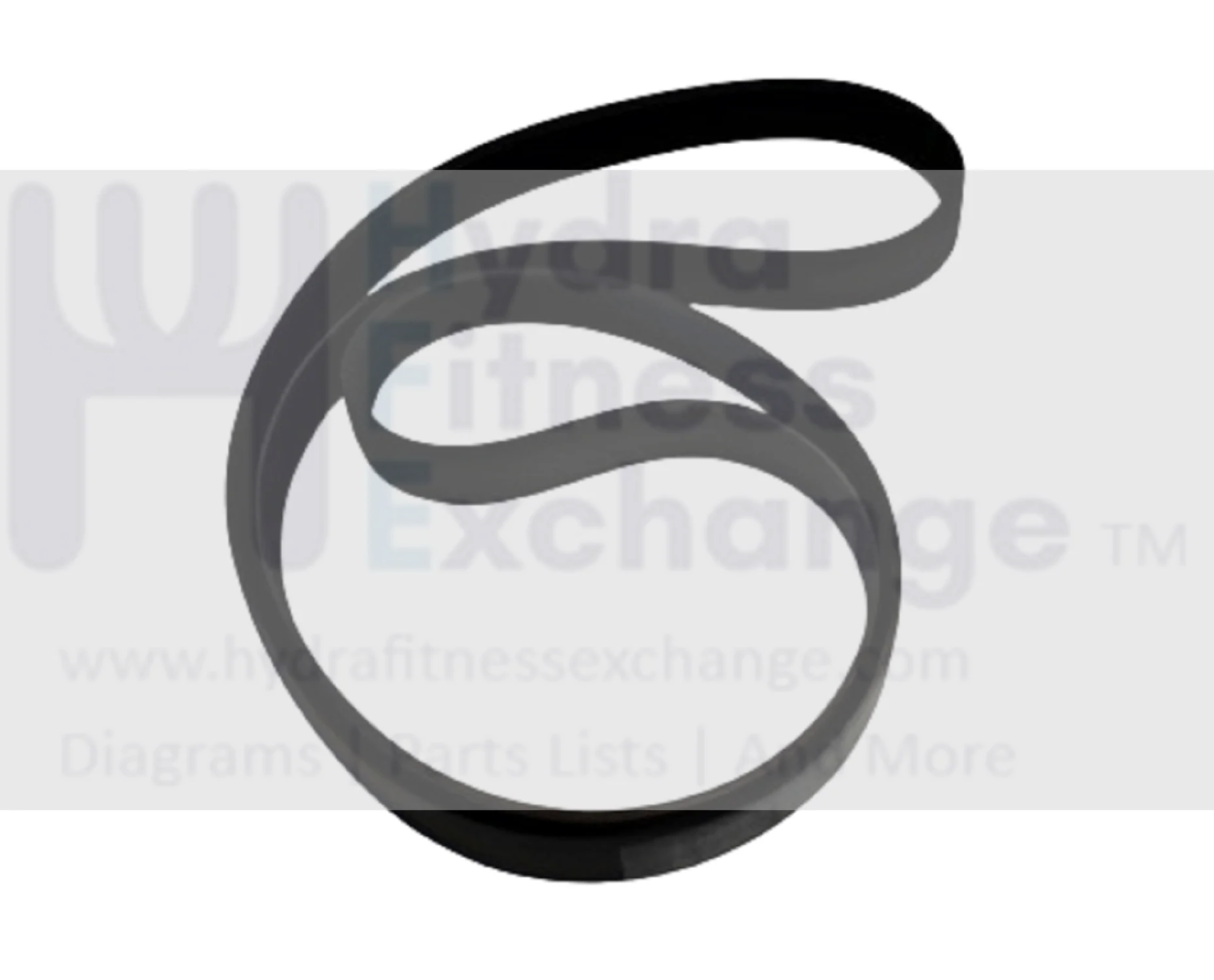 Matrix Fitness Elliptical Poly-V Flexonic Pulley Drive Belt 1000207054 - Image 6