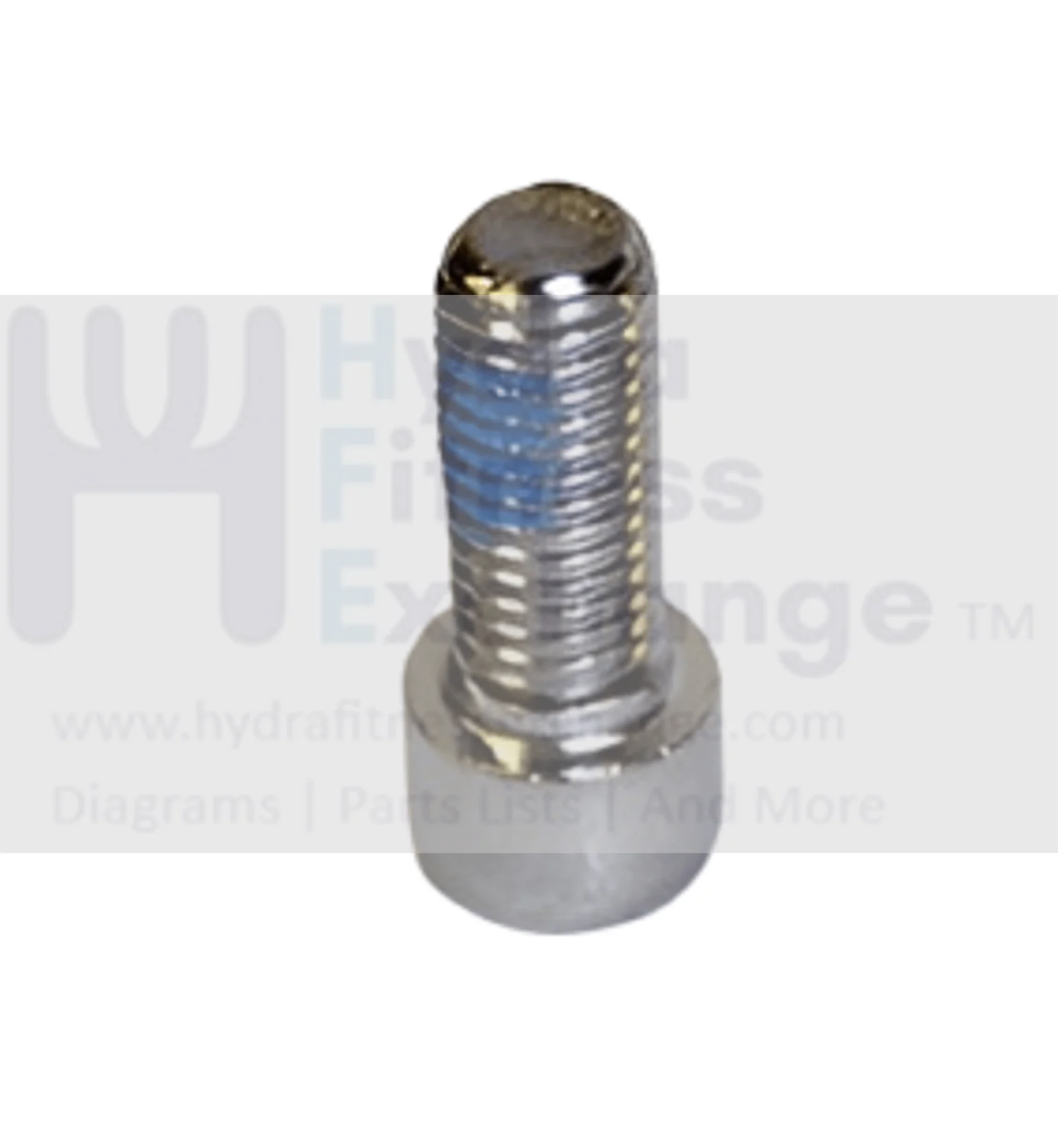 Matrix Fitness Elliptical Round Head Hex Socket Screw M10 - 1.5P x 25L 004555-AB