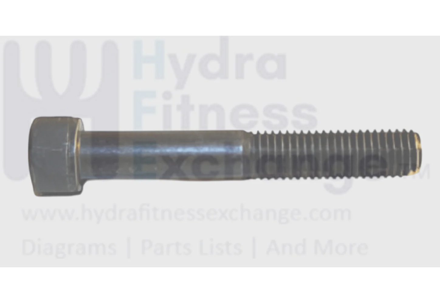 Matrix Fitness Elliptical Round Head Hex Socket Screw M10 - 1.5P x 70L 004524-AC