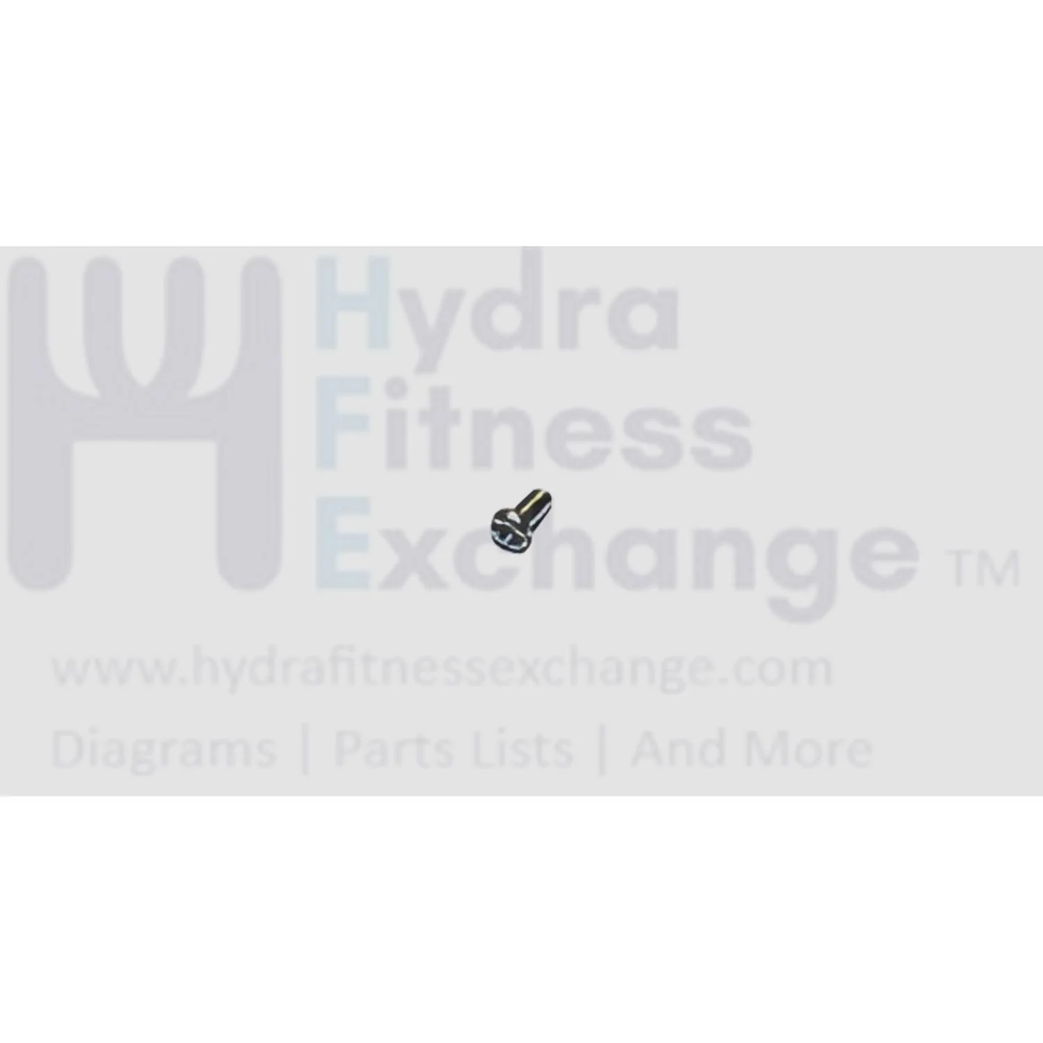 Matrix Fitness Elliptical Round Head Phillip Screw M3 x 6L 020005-00