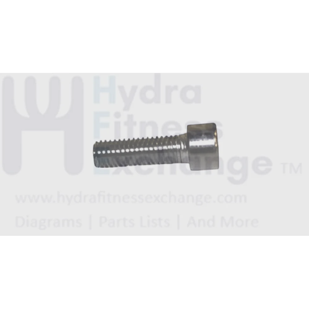 Matrix Fitness Elliptical Round Hex Socket Screw M8 - 1.25P x 25L 004539-AD