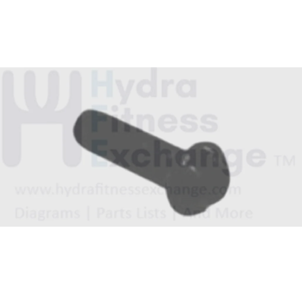 Matrix Fitness Elliptical Round Phillip Screw M3 - 0.5P x 10L 004336-00