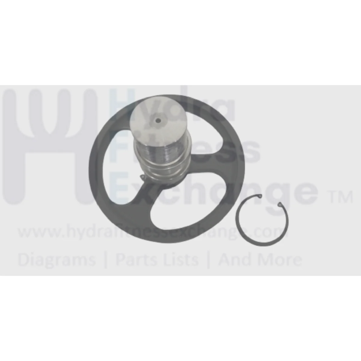 Matrix Fitness EP592 EP599 TM750F Elliptical Pulley Axle Set 1000348524