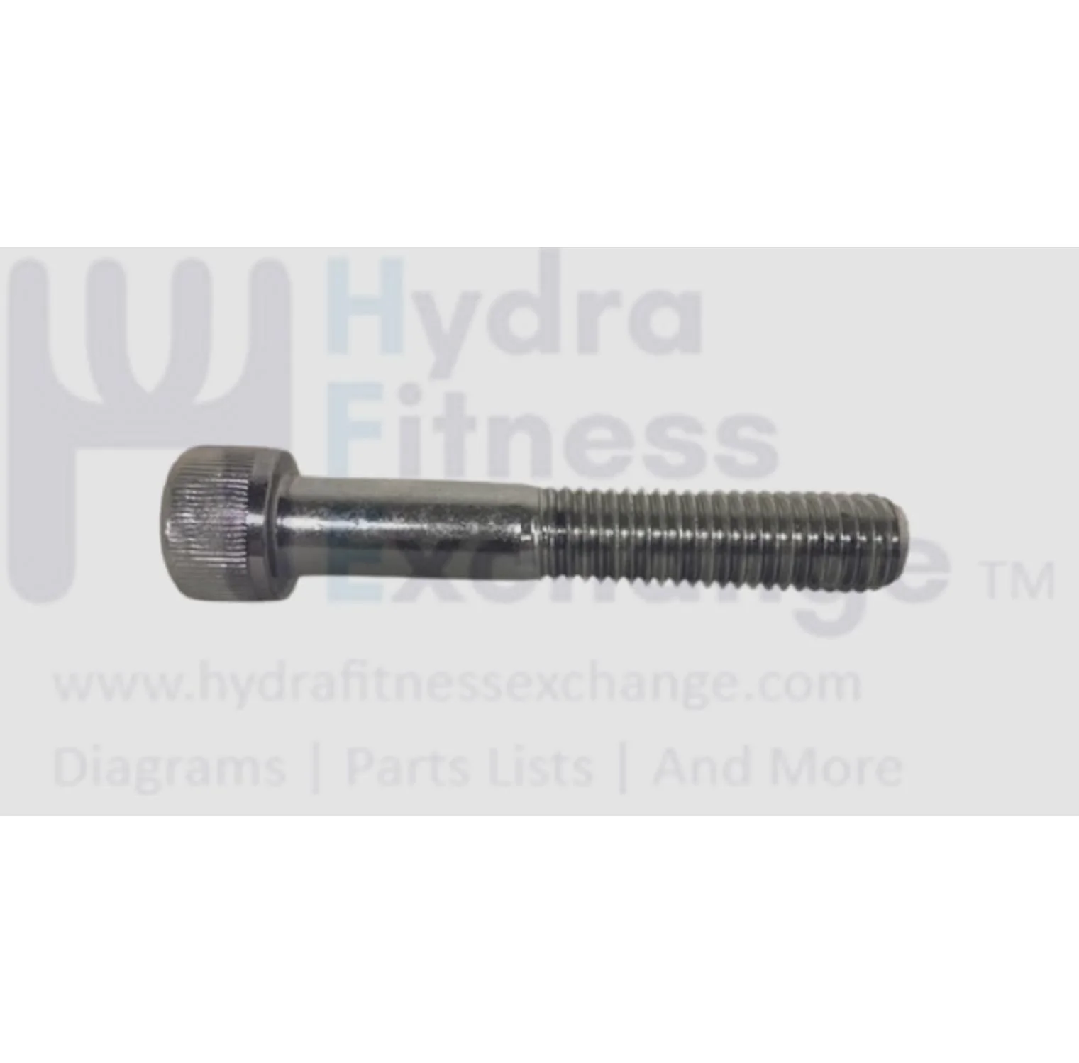 Matrix Fitness FC20 FC24 FC23 Stationary Bike Round Head Hex Socket Screw M12 - 1.75P x 70L/38L 1000410402