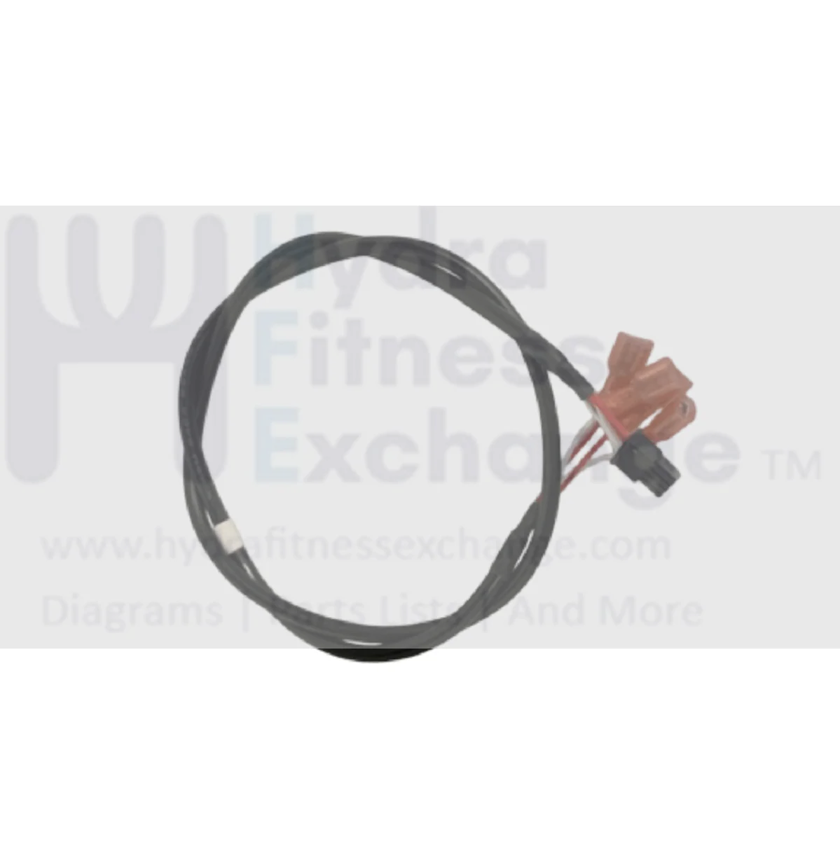 Matrix Fitness Performance Plus Series Treadmill Safety Switch Cable 1000435138