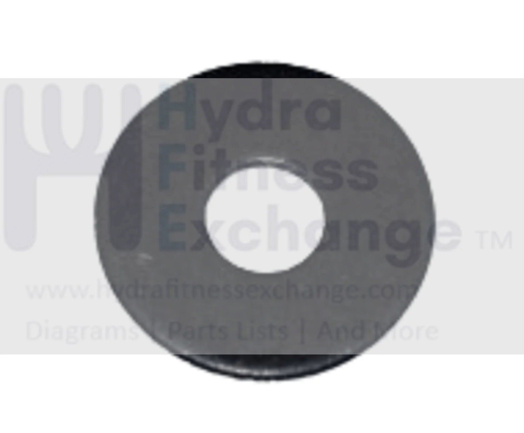 Matrix Fitness Retail Elliptical Flat Washer Diam.x8.5xDiam.x25.0x1.5T 005036-00