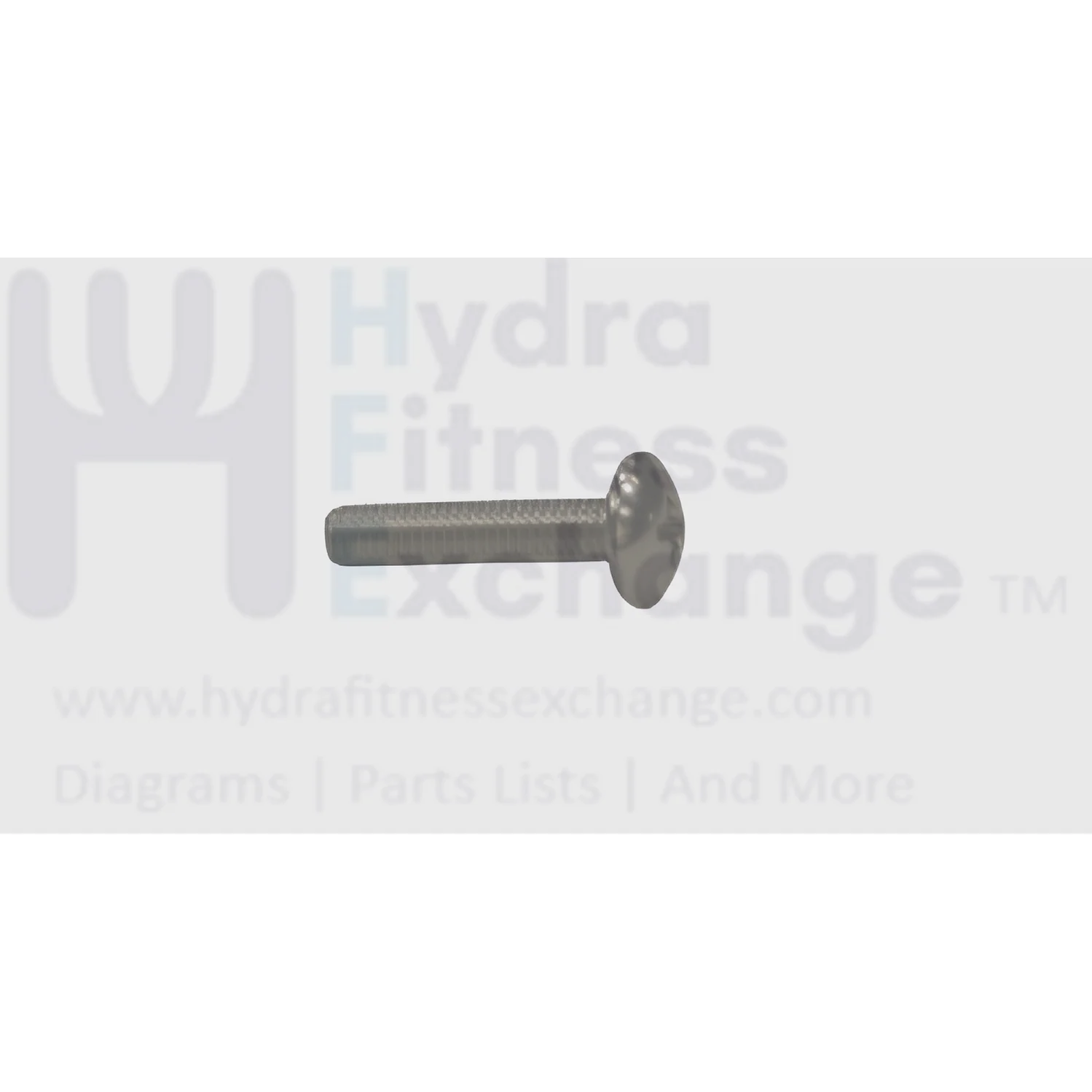 Matrix Fitness Stationary Bike Button Head Screw M4 - 0.7P x 20L 1000314455