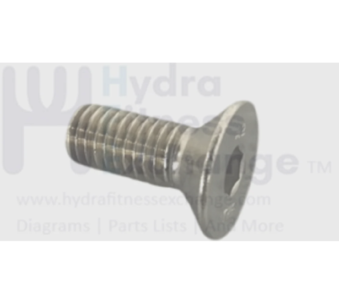 Matrix Fitness Stationary Bike Flat Head Hex Socket Screw M8 - 1.25P x 20L 1000420875