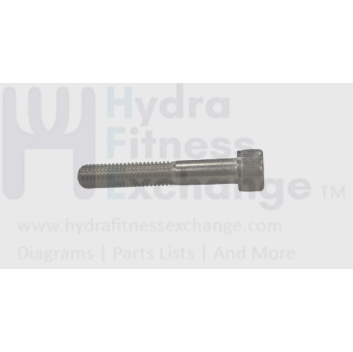 Matrix Fitness Stationary Bike Head Socket Screw M8 - 1.25P x 50L-30L 1000314452