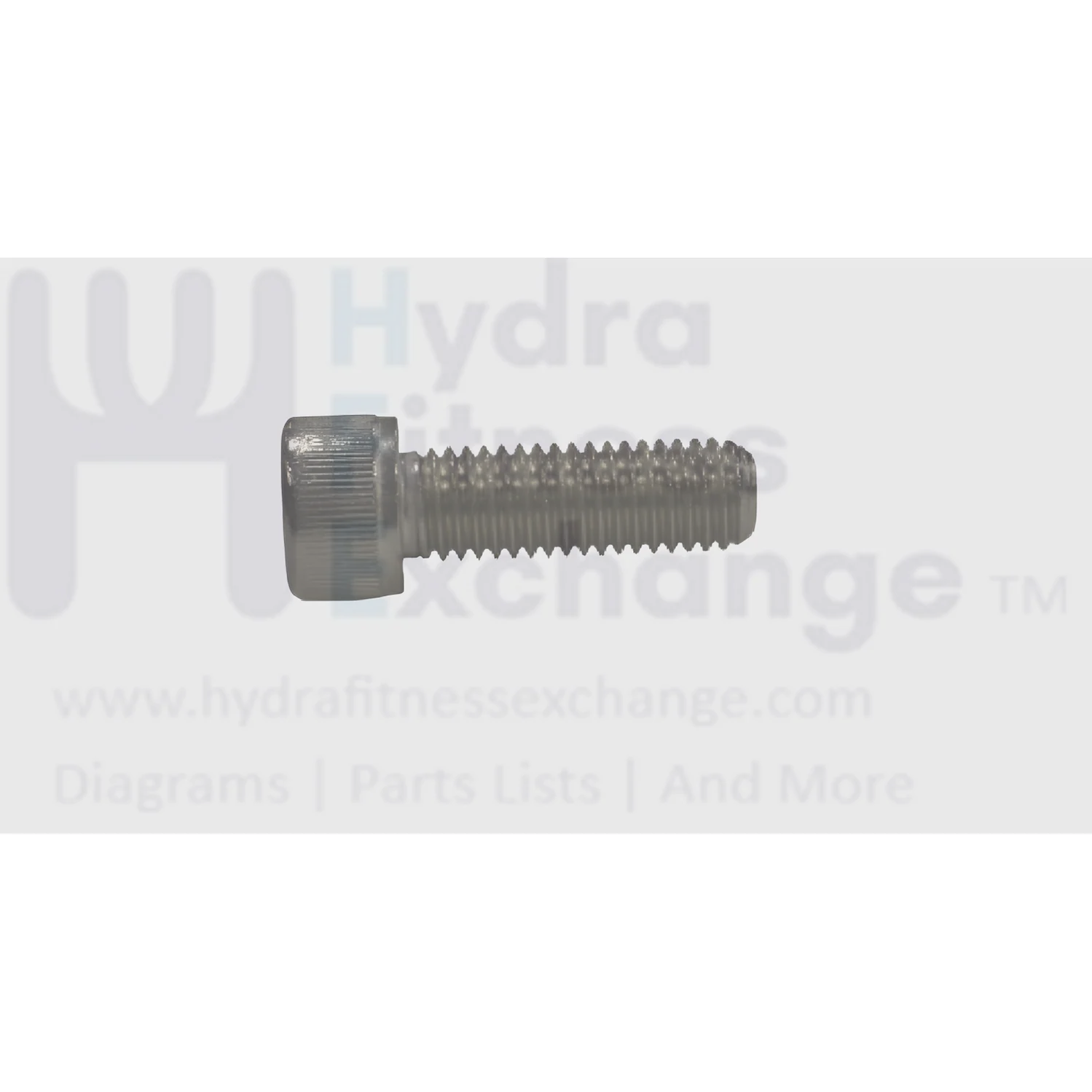 Matrix Fitness Stationary Bike Hex Head Socket Screw M10 - 1.5P x 30L 1000314451