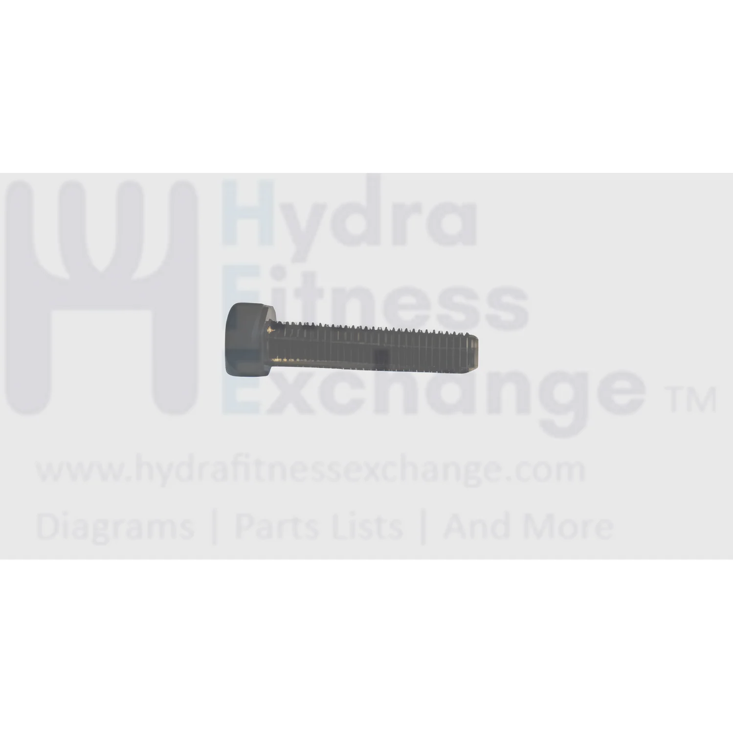 Matrix Fitness Stationary Bike Hex Head Socket Screw M5 - 0.8P x 25L 004453-00