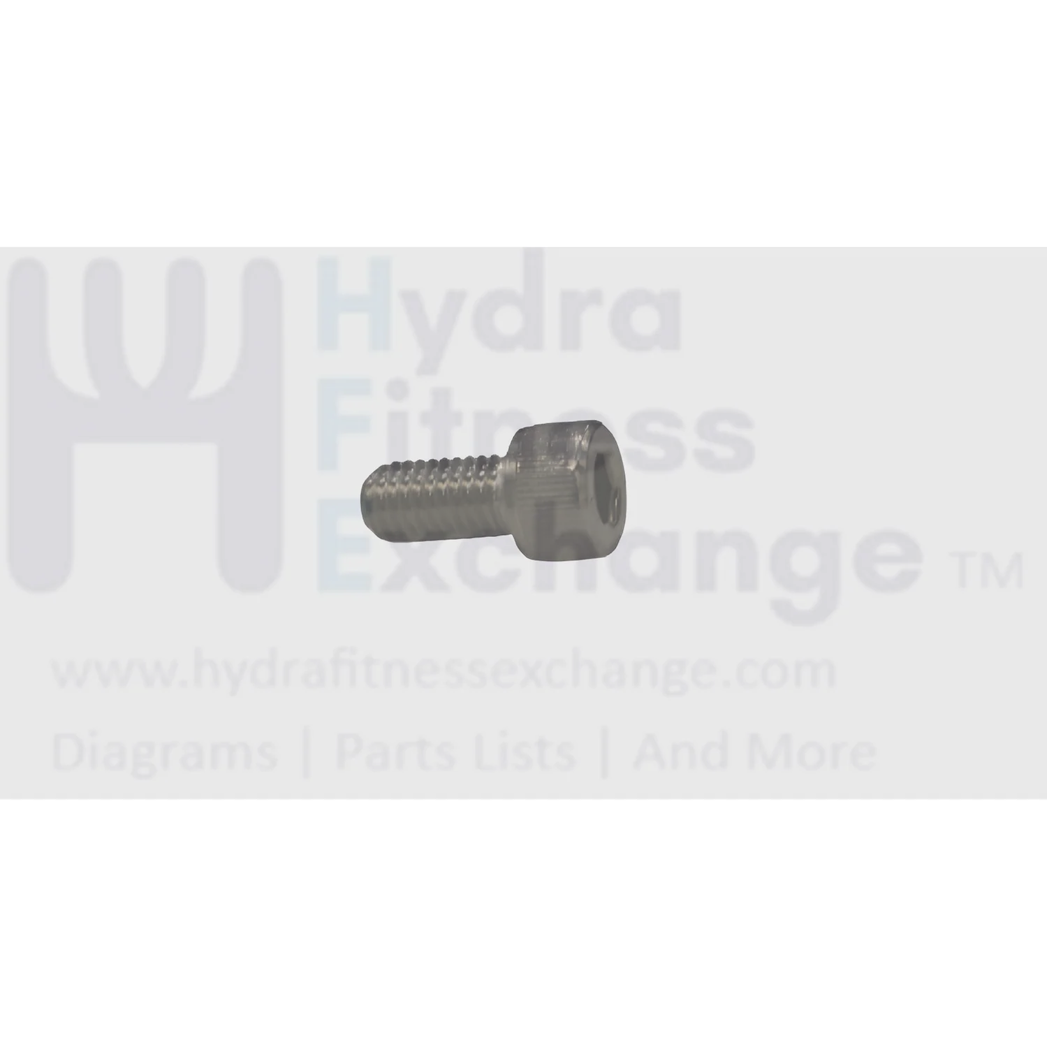Matrix Fitness Stationary Bike Hex Socket Head Screw M8 - 1.25P x 16 1000301924