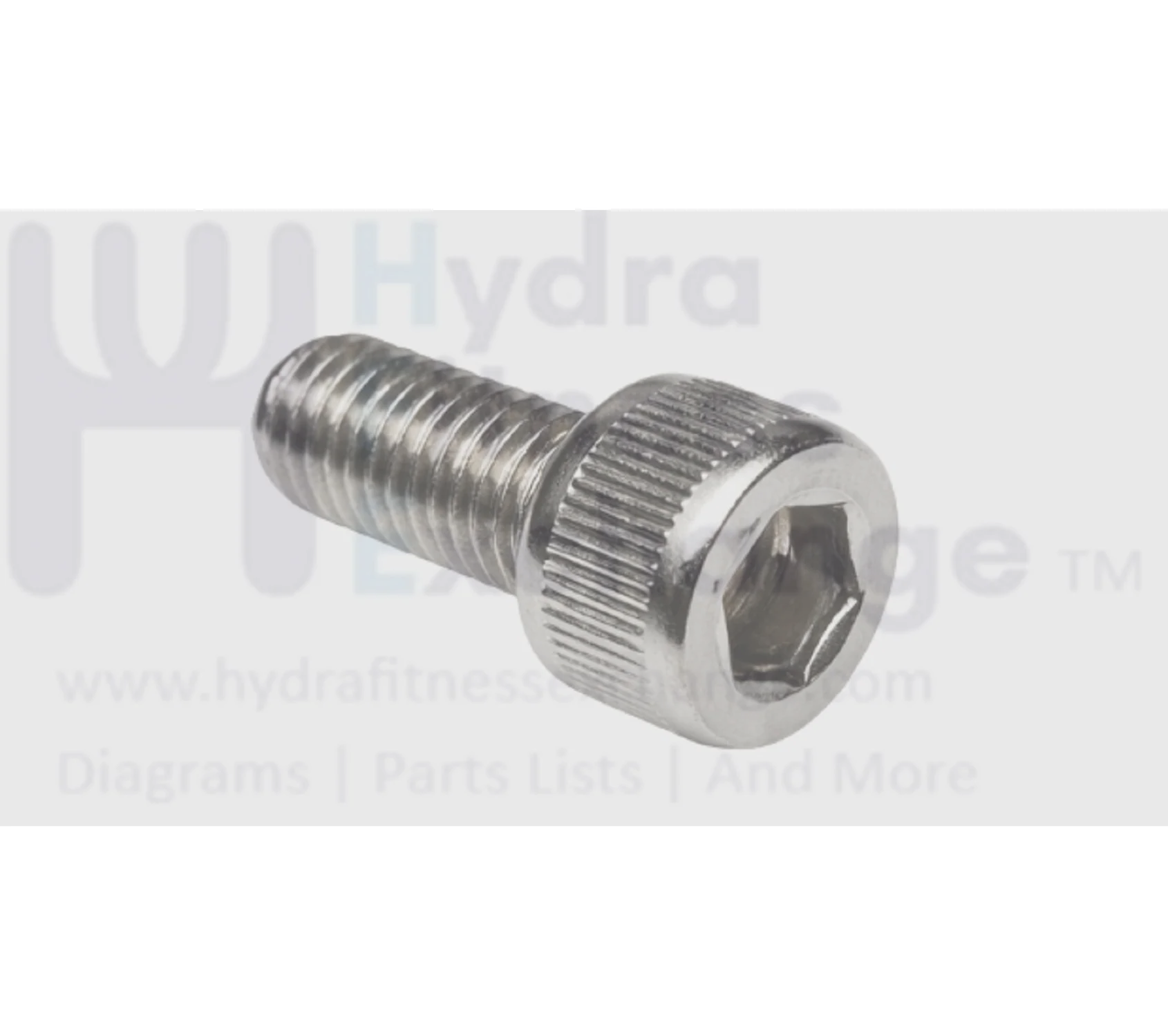 Matrix Fitness Stationary Bike Round Head Hex Socket Screw M8 - 1.25P x 15L 1000215465